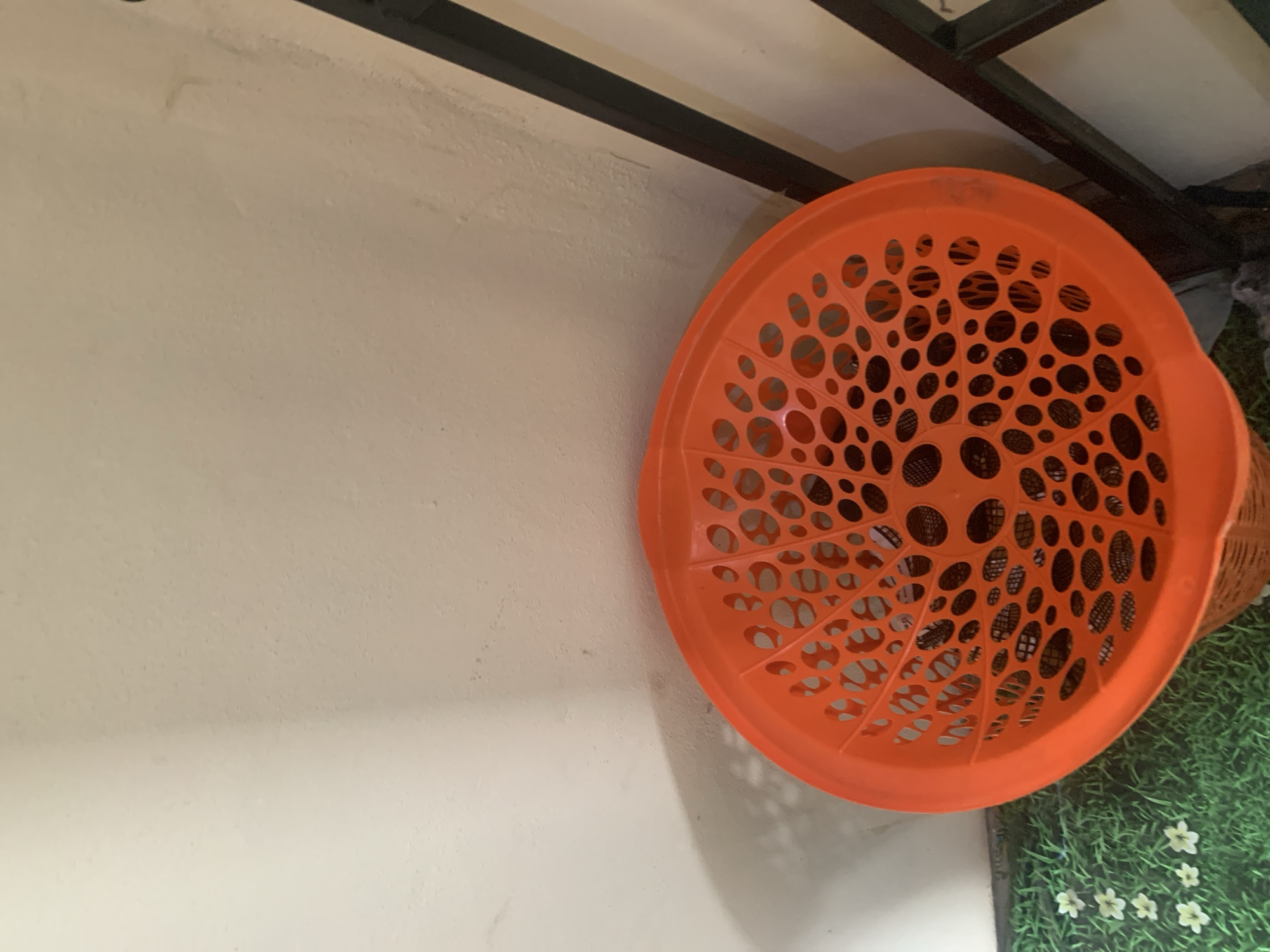 An orange plastic basket with a perforated design is situated on a green, artificial grass mat. The basket is positioned against a light-colored wall, and a dark metal structure is visible to its right. The scene is indoors, suggesting it might be a home or a similar setting. There is no indication of a specific location within the city of Jauro Yinu, Nigeria.