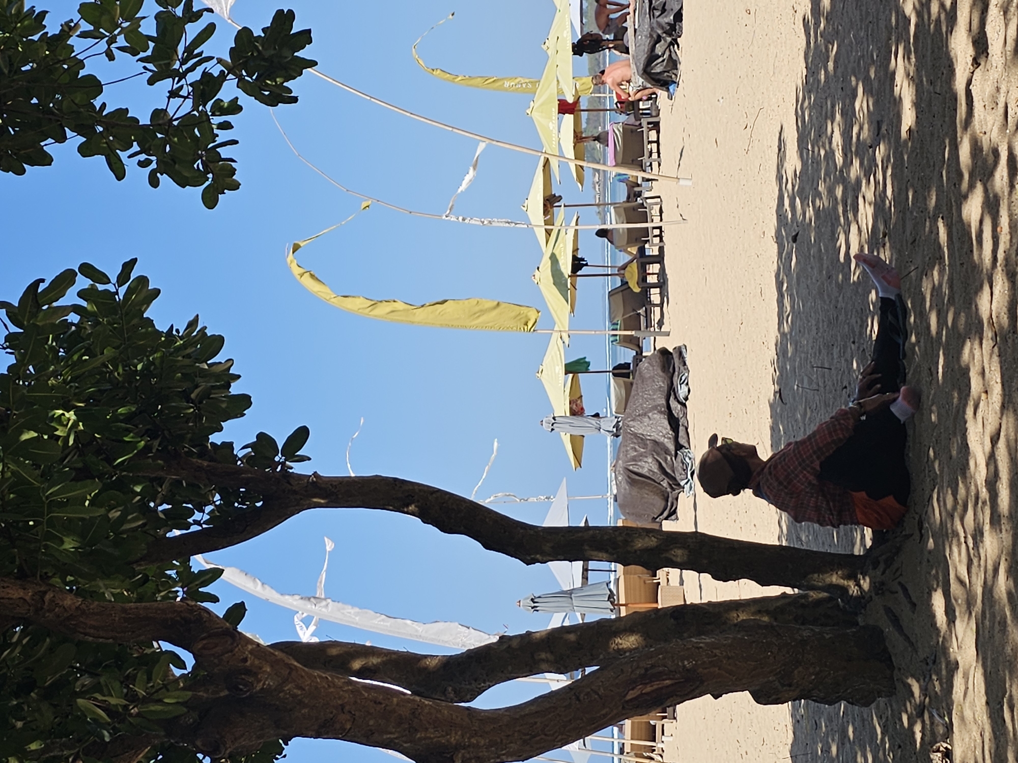 In Denpasar, Indonesia, a person sits under the shade of a large tree on a sandy beach. The individual is wearing a plaid shirt, dark pants, a baseball cap, and sunglasses, and is facing away from the camera, looking towards the ocean. The beach is lined with rows of empty lounge chairs and umbrellas, many of which are yellow. Several tall, thin bamboo poles with yellow flags are also visible. In the distance, the ocean is calm under a clear blue sky. The scene suggests a quiet afternoon on a resort beach.