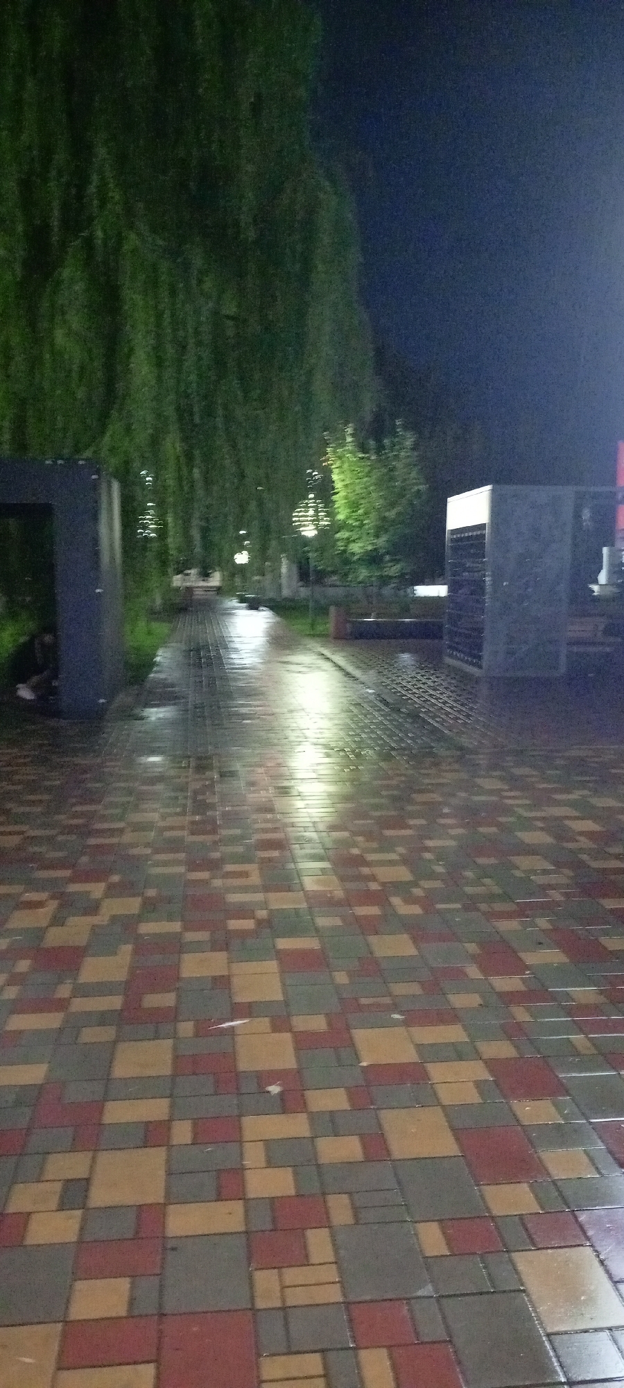 This image depicts a paved pathway in Kirsanov, Russia, at night. The pathway is made of interlocking bricks in red, tan, and gray colors, and it appears to be wet, reflecting the ambient light. Tall, drooping green foliage, likely willow trees, lines the left side of the pathway, creating a canopy effect. On the right, there are dark, rectangular structures, possibly monuments or seating areas, one of which is illuminated with a white light. Several spherical light fixtures are visible hanging from the trees in the distance, casting a soft glow. The sky is dark blue, indicating nighttime. The scene is quiet and appears to be an outdoor public space like a park or promenade.