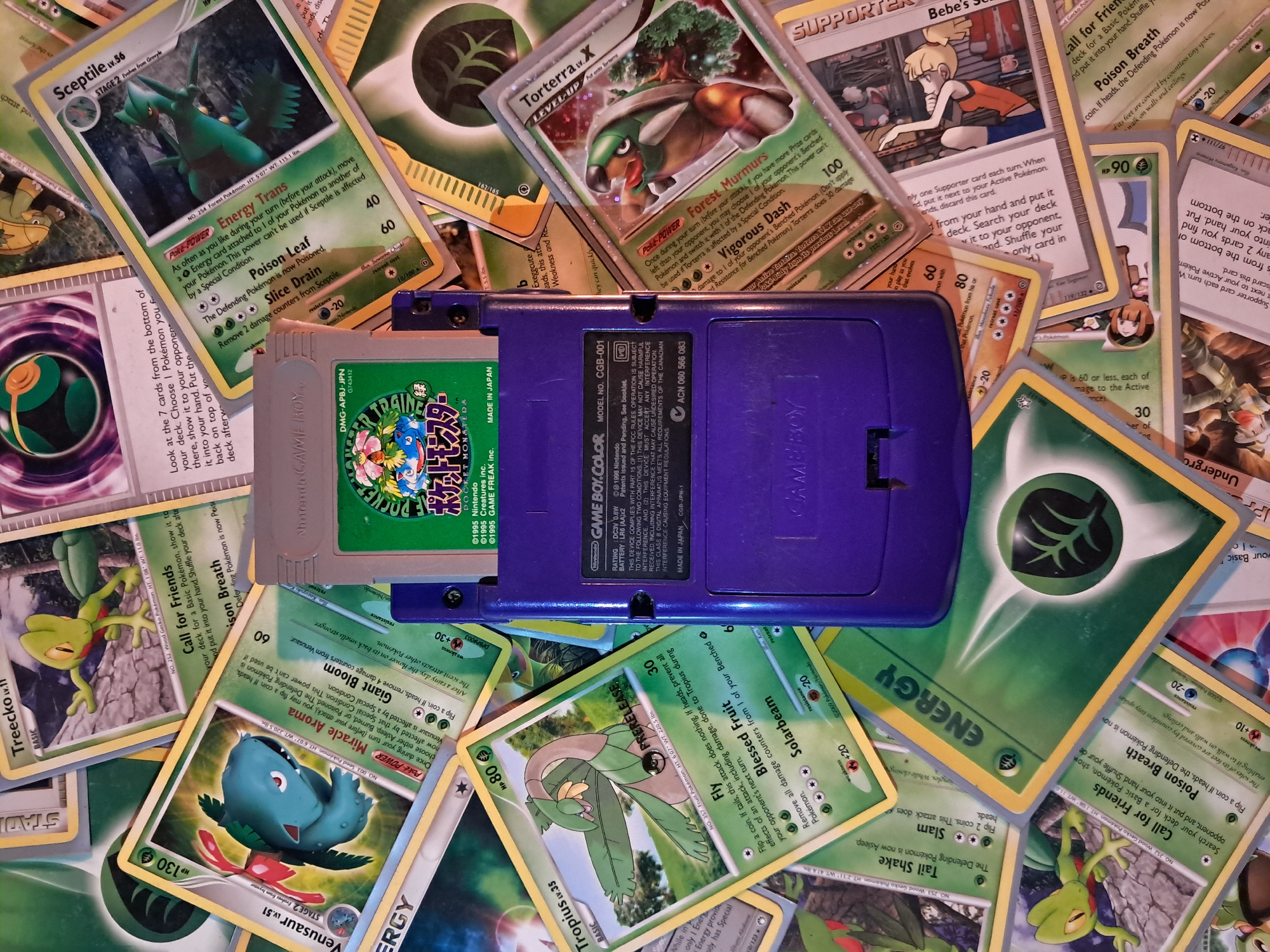 The image shows a purple Nintendo Game Boy Color console with a "Pokémon Trainer" Game Boy cartridge inserted. The console is lying on a surface covered with various Pokémon trading cards. The Pokémon cards feature characters such as Sceptile, Torterra, Venusaur, and Tropius, along with various energy cards and supporter cards. The background is cluttered with overlapping cards. There is no indication of the location of Vicente López, Argentina. There are no people visible.
