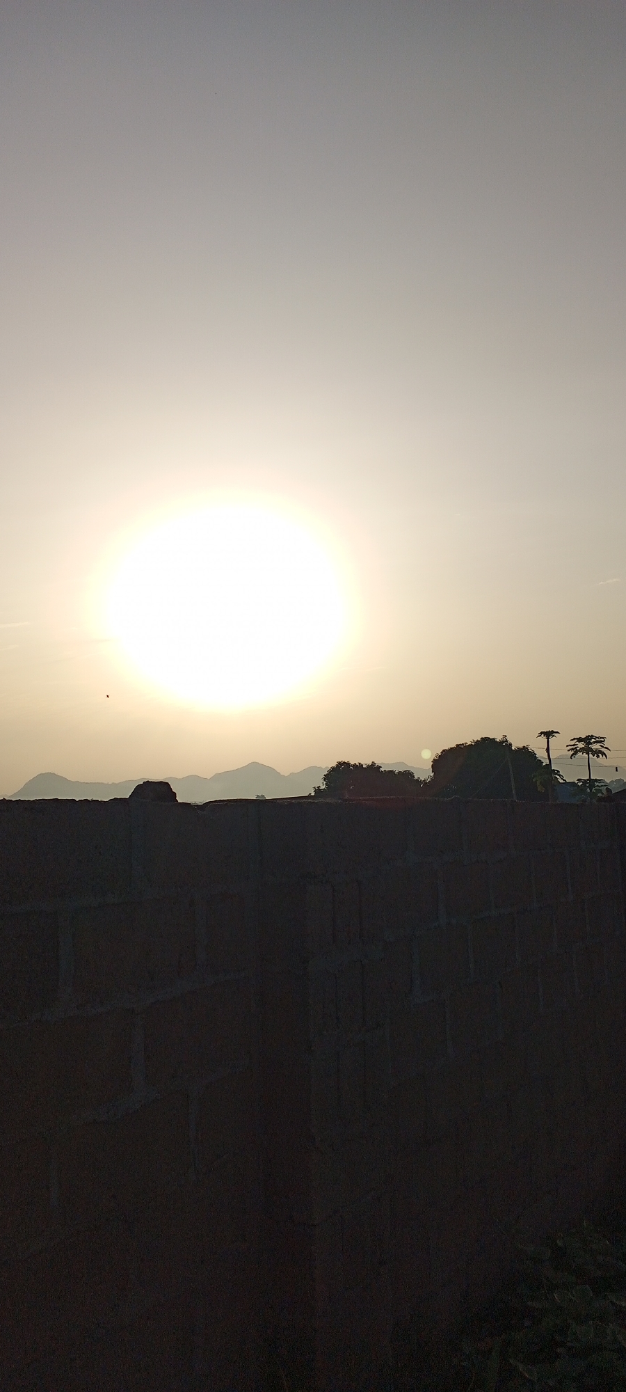The image depicts a sunset scene, likely taken from an elevated position such as a rooftop, overlooking a portion of Jalingo, Nigeria. In the foreground, a dark, textured brick wall dominates the bottom half of the frame, suggesting a residential or commercial structure. Beyond the wall, a hazy landscape unfolds. In the mid-ground, a silhouette of trees and hills is visible against the bright sky. The sun, a large, radiant orb, is low on the horizon, casting a warm, golden light that diffuses through the atmosphere. The sky transitions from a pale yellow near the sun to a muted gray at the top of the image, indicating the approaching dusk. A small, dark speck, possibly a bird or insect, is captured in flight to the left of the sun. The overall atmosphere is serene and contemplative, characteristic of a sunset in a semi-urban or rural setting.