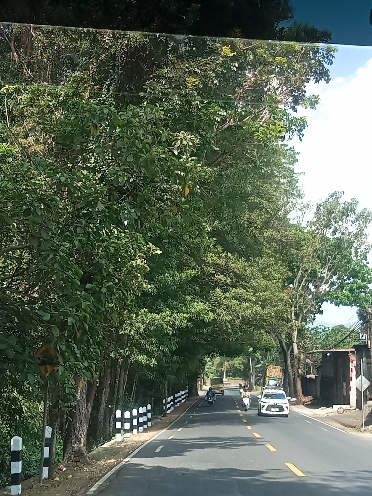 The image shows a road with a canopy of trees lining both sides, creating a tunnel effect. The road is asphalt and has yellow dashed lines dividing the lanes. Several vehicles are visible on the road, including a white car, a motorcycle, and a truck. There are also black and white striped posts along the side of the road, possibly marking the edge of the road or a hazard. In the background, there are buildings and more trees. The sky is visible and appears to be cloudy. The scene suggests a rural or semi-urban setting in Selomerto, Indonesia, given the presence of tropical vegetation and the style of vehicles.