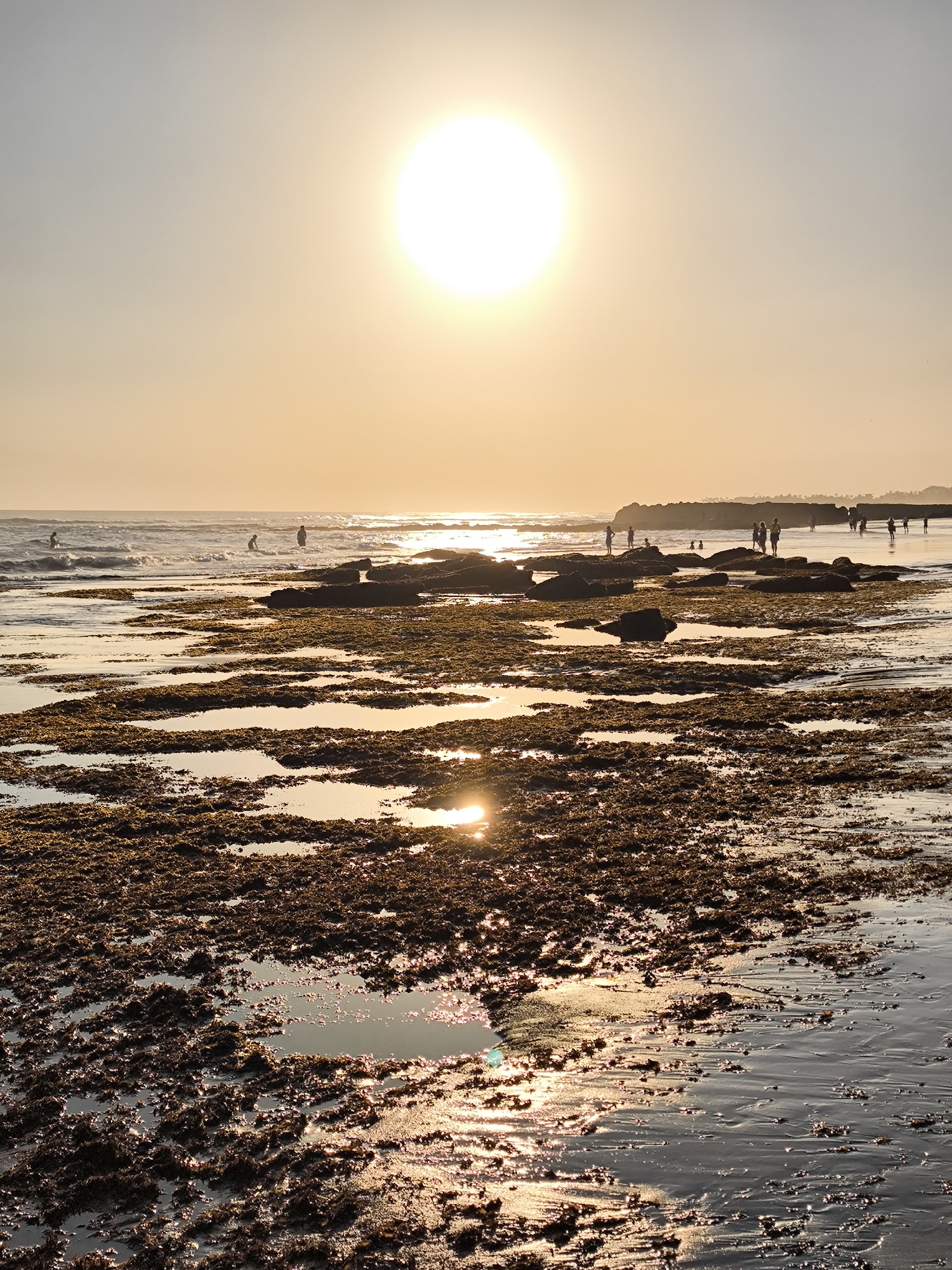 A wide-angle, eye-level shot captures a beach at low tide during sunset in North Kuta, Indonesia. The sun, a bright white orb, sits high in the hazy, pale orange sky, casting a warm glow over the scene. The foreground is dominated by a rocky, seaweed-covered shoreline with shallow pools of water reflecting the sunlight. The tide is out, revealing a textured expanse of wet sand, rocks, and scattered dark seaweed. In the mid-ground, gentle waves roll onto the shore, and several people are visible wading or standing in the shallow water. Further back, along the horizon, more people are scattered across the beach and in the distance, with a rocky outcrop or cliff line visible on the far right. The overall atmosphere is serene and depicts a typical evening scene at a popular Indonesian beach.