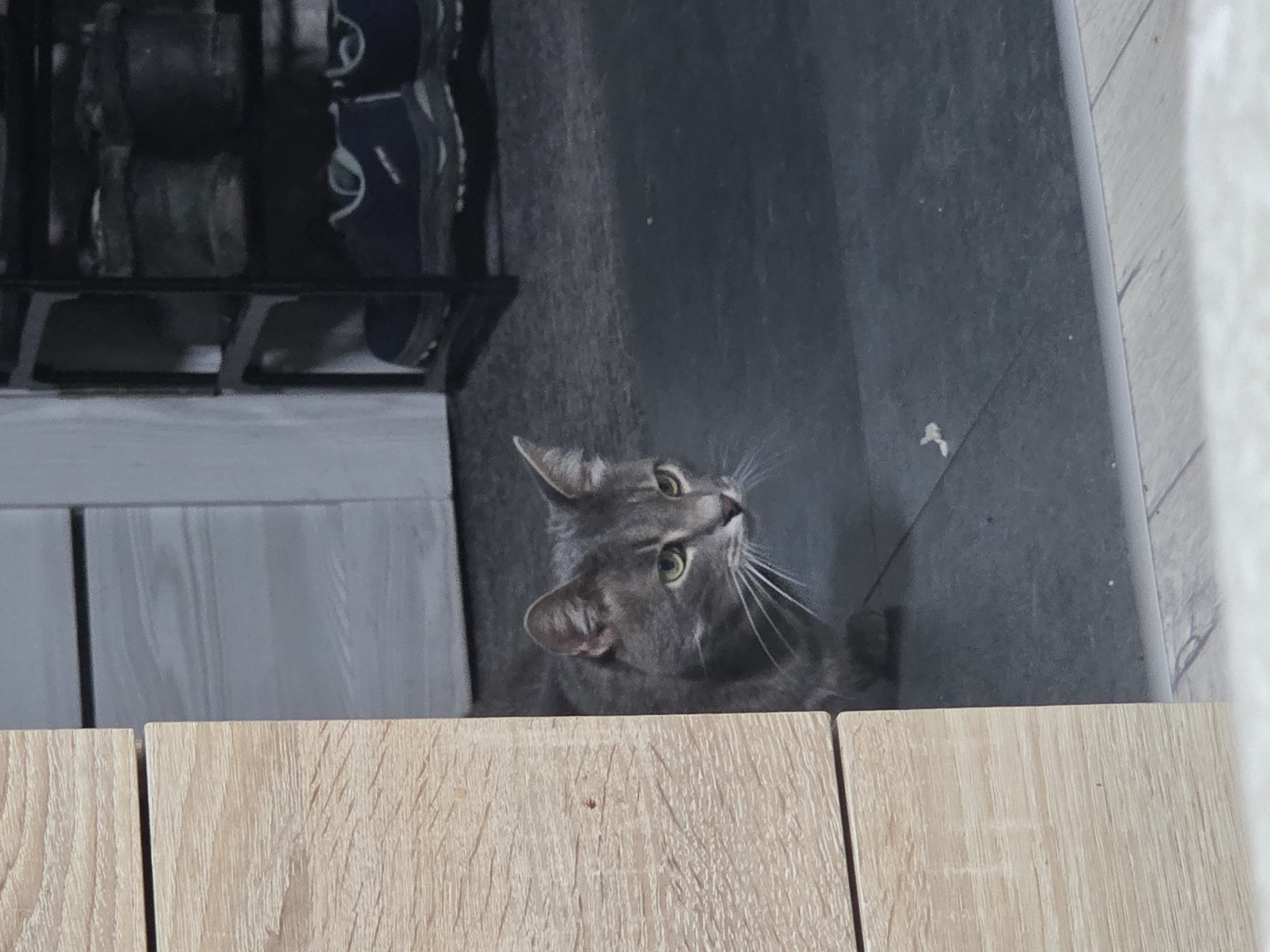 A grey tabby cat with green eyes is partially visible on the right side of the frame, peering around a wooden partition. The cat is looking towards the right of the image. The background includes a dark grey floor, a white door, and a black shoe rack with shoes on it. The scene appears to be indoors, possibly in a residential hallway or entryway. There is no identifiable location within the city of Minsk, Belarus.