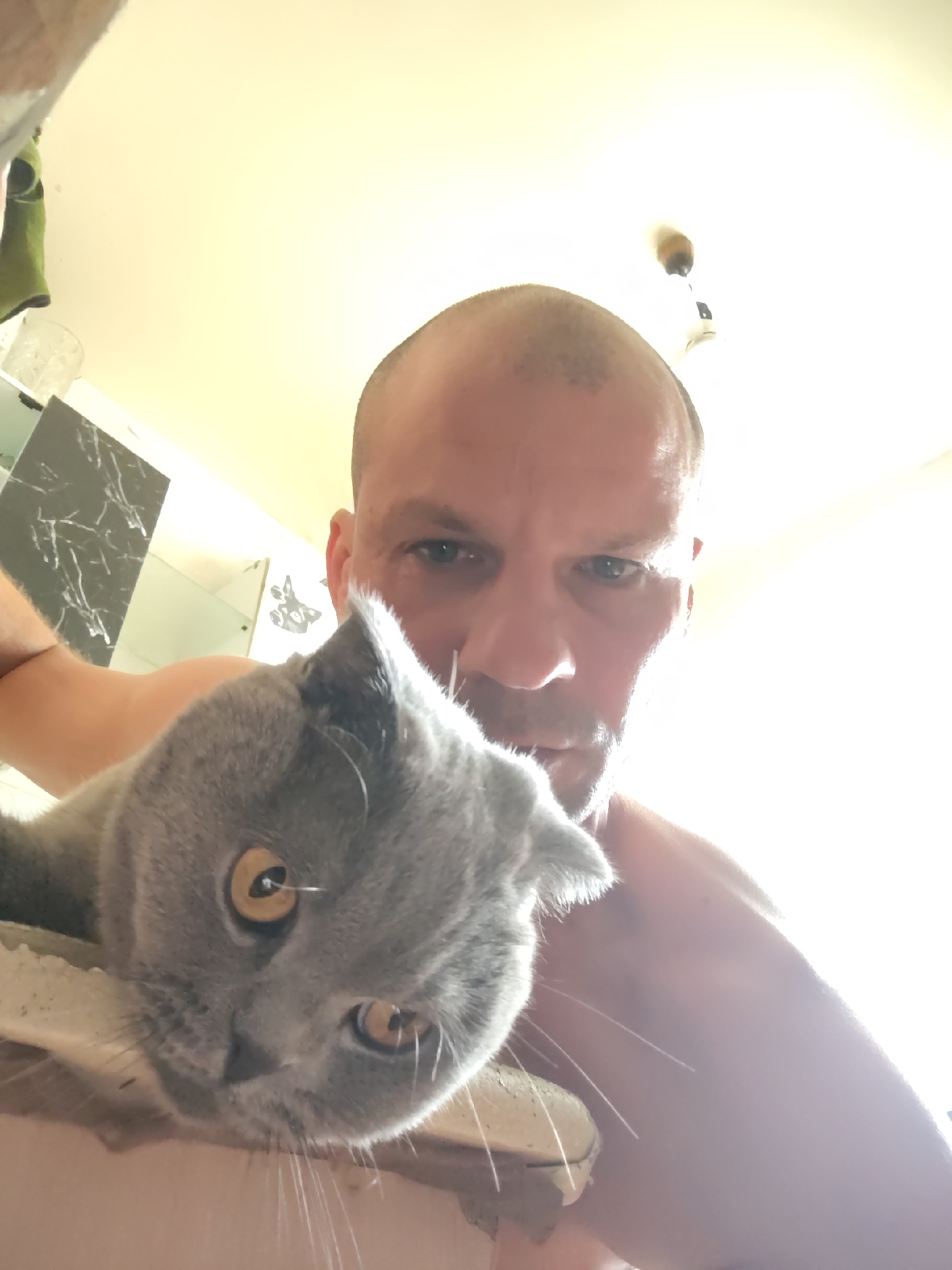 A man with a shaved head is taking a selfie with a grey cat. The man is shirtless and his face is partially obscured by the cat. The cat is lying on its side and looking at the camera with its yellow eyes. The background is a brightly lit room with some cabinets and a light fixture on the ceiling. The image appears to have been taken indoors, likely in a residential setting. The location is not specified in the image or its metadata, so it cannot be determined if it is in Homyel, Belarus.