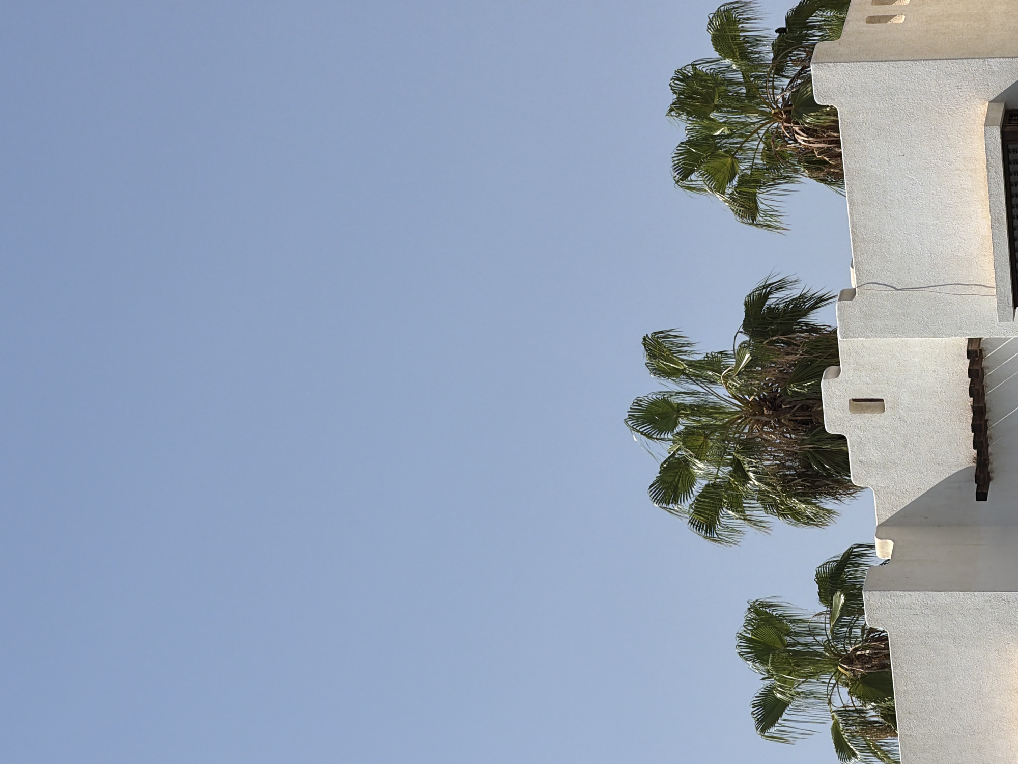 The image shows a bright, clear sky over a white, textured building with distinctive architectural features, including crenellated edges and a small rectangular opening. Three palm trees with lush green fronds rise above the building, their leaves casting subtle shadows. The scene suggests a location in a warm, sunny climate, consistent with Sharm El Sheikh, Egypt, a popular tourist destination known for its coastal architecture and palm trees.