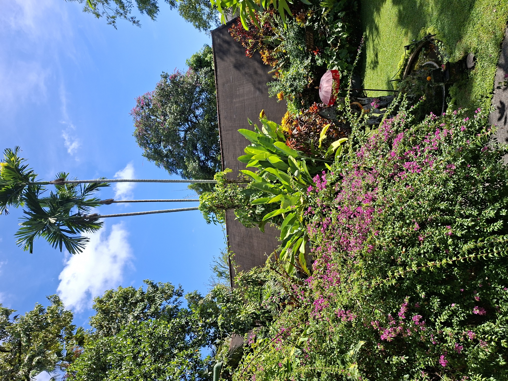 The image depicts a lush garden scene in Ubud District, Indonesia. A building with a dark brown shingled roof is partially visible behind vibrant foliage. The foreground features a profusion of pink bougainvillea flowers. Tall palm trees reach into a bright blue sky with scattered clouds. Other plant life includes large green-leaved plants, red and yellow flowering plants, and various trees. On the right, a section of manicured lawn is visible with a decorative cart. A red and pink parasol is near the cart.