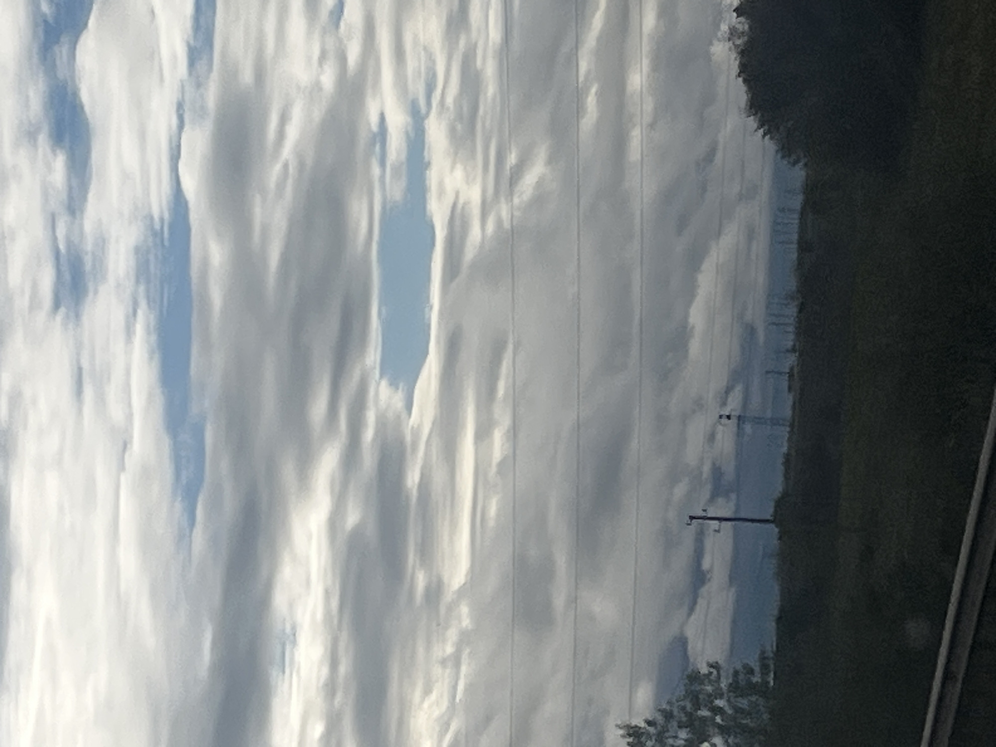 The image, rotated 90 degrees counter-clockwise, depicts a landscape under a partially cloudy sky. The dominant feature is the sky, which is filled with elongated, streaky white clouds interspersed with patches of clear blue sky. Faint, parallel horizontal lines are visible across the entire image, overlaying both the sky and the ground, suggesting reflections on a window or actual power lines.
In the lower portion of the image (which would be the right side if rotated correctly), a dark, dense mass of trees or foliage forms a treeline, possibly bordering a road or highway. A single utility pole or transmission tower stands prominently within this area, extending upwards towards the sky. The perspective suggests the photograph was taken from inside a moving vehicle, looking out a window. There are no people visible, and no discernible text. The time of day appears to be daytime, with sufficient light to illuminate the clouds and landscape.