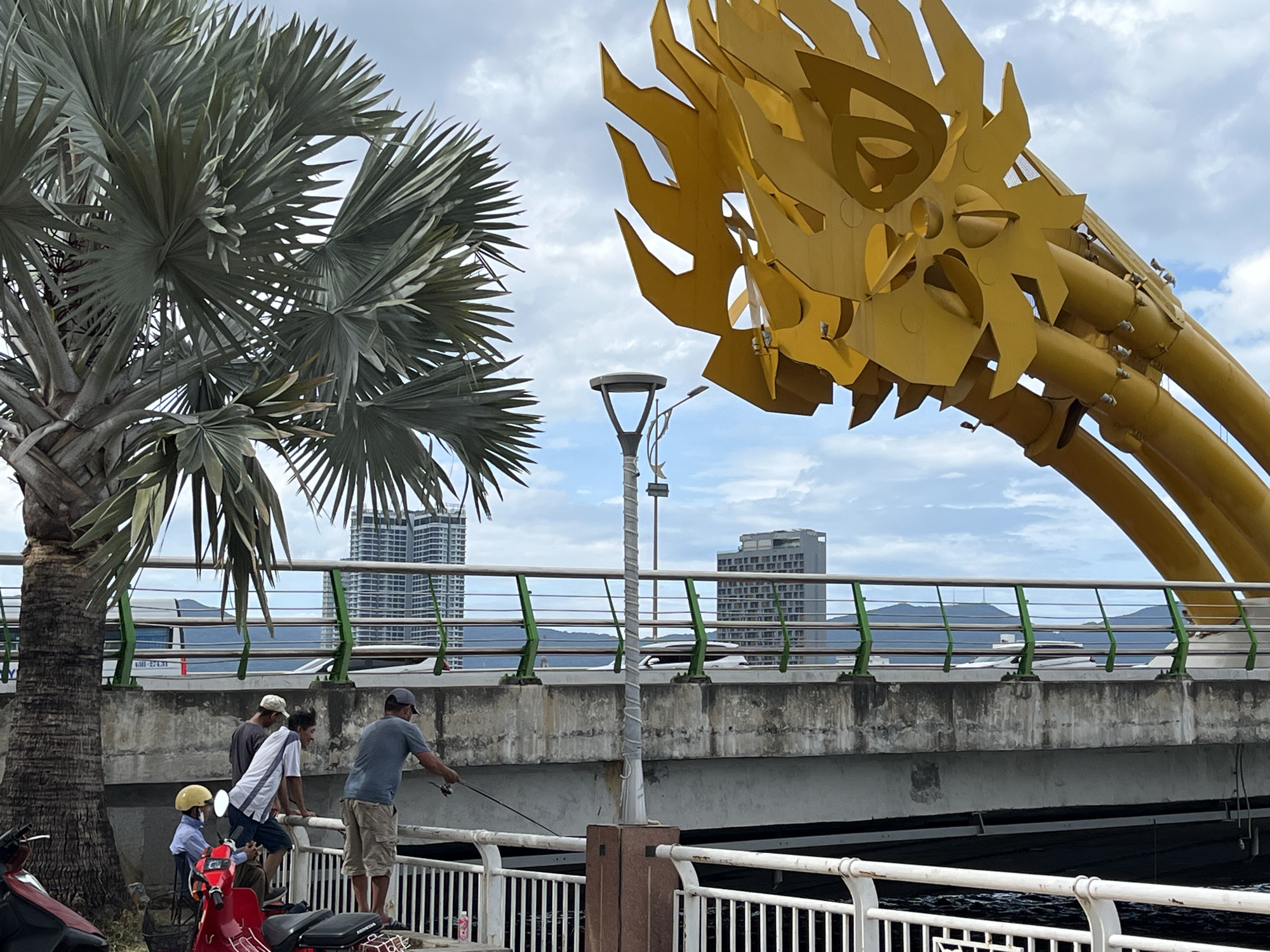 This daytime image captures a vibrant scene along the Han River in Da Nang, Vietnam, prominently featuring the iconic Dragon Bridge. On the right, a striking, large golden metallic structure, sculpted to resemble a dragon's head, curves upwards as part of the bridge's distinctive architecture. To the left, a substantial palm tree with broad, fan-shaped fronds occupies a significant portion of the frame.
Below the main bridge deck, on a lower concrete walkway, several people are engaged in leisure activities. Four individuals are visible: three men stand near a white railing overlooking the river. One man, wearing a grey cap and t-shirt, is actively fishing with a rod. Another man in a white and blue striped shirt leans casually on the railing, while a third in a dark shirt stands adjacent. Further left, a person in a light blue shirt and yellow helmet is seated on a red Honda scooter, parked beside the palm tree. The text "HONDA" is visible on the scooter's seat.
The background showcases an urban landscape with multiple modern high-rise buildings and distant mountains, all beneath a partly cloudy sky. A street lamp is visible on the walkway. The main bridge structure features green and silver railings. A white vehicle, possibly a bus, is seen crossing the bridge in the mid-ground, with some partially visible text on its side. The overall scene conveys a calm, leisurely atmosphere by the river in Da Nang.