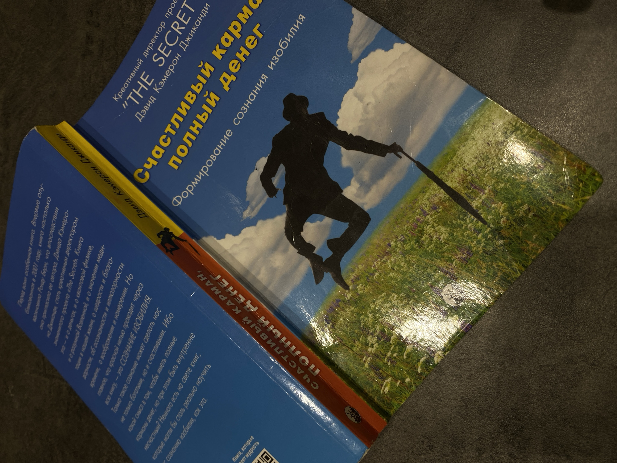The image shows two books with Russian titles. The book on top is titled "Счастливый карма полный денег" (Happy Karma Full of Money) by David Cameron Gikandi, with the subtitle "Формирование сознания изобилия" (Forming the Consciousness of Abundance). The cover depicts a silhouette of a person with an umbrella against a background of a field and sky. The book underneath also appears to be titled "Счастливый карма полный денег", and visible text on the spine of the book lists David Cameron Gikandi as the author. The books are resting on a dark grey surface. There is no information in the image that would suggest the location is Sochi, Russia.