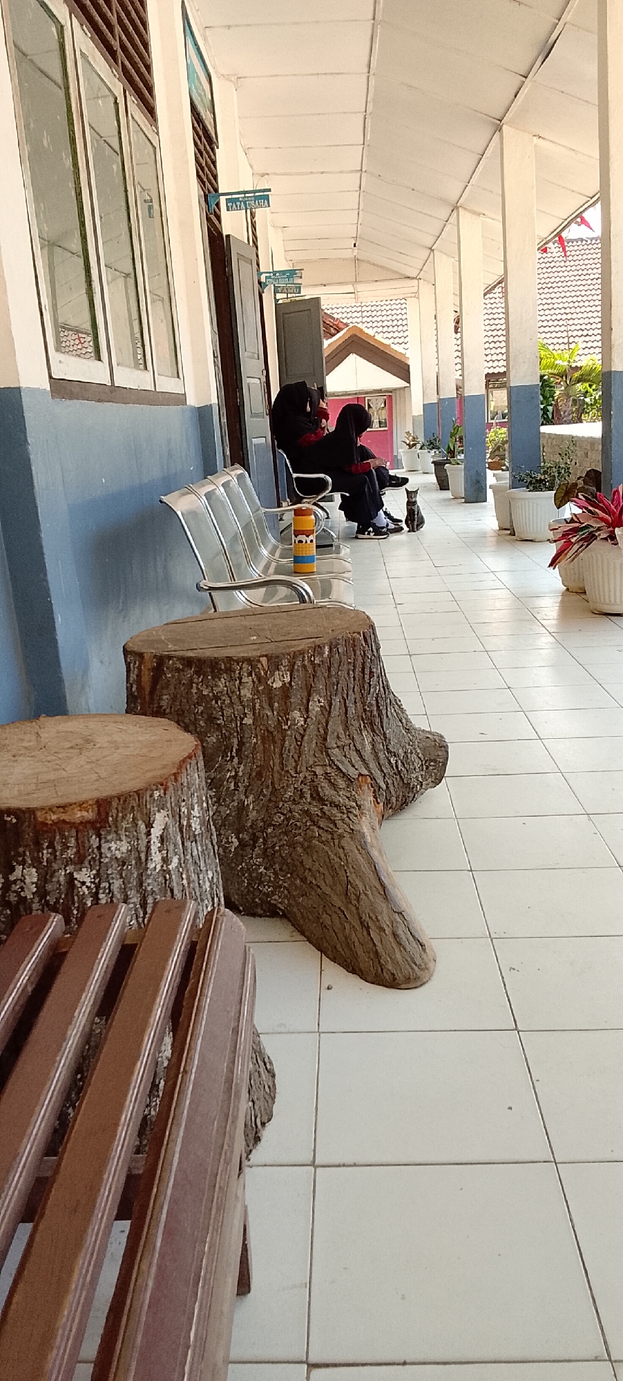 The image depicts an outdoor corridor in a building, likely a school or government office, in Jepara, Indonesia. The corridor features a tiled floor and a covered walkway supported by white columns. To the left, a building wall with windows is visible, painted blue and white. Several metal benches are lined up, with a thermos bottle placed on one. In the foreground, two tree stumps are positioned as seating or decorative elements, with a wooden bench partially visible in the lower left.
Further down the corridor, three individuals wearing hijabs and dark clothing are seated on the metal benches. A small, grey cat is also present, sitting on the floor near the individuals. Various potted plants are arranged along the corridor, adding greenery to the scene. Signs are mounted on the wall, one reading "TATA USAHA," which translates to "Administration," and another smaller sign with the word "TAMU," meaning "Guest." The architectural style and signage suggest a public institution within the city of Jepara. The lighting indicates it is daytime, with sunlight casting shadows.