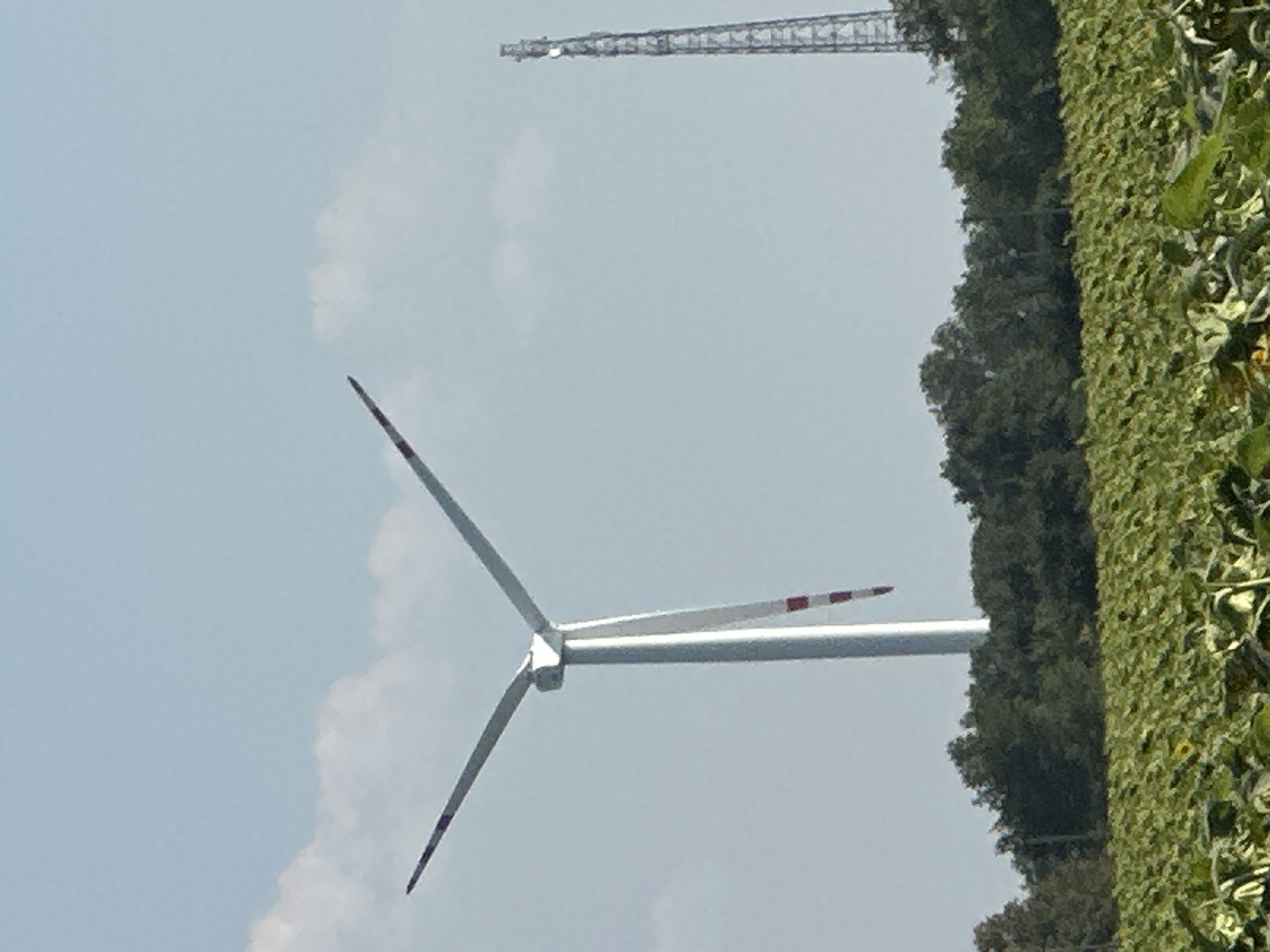 In the foreground, a field of green crops, possibly sunflowers, stretches across the frame. Behind the field, a dense line of trees forms a natural border. In the mid-ground, a large white wind turbine stands tall, its blades partially obscured against a pale blue sky with scattered clouds. A second, taller metallic tower, likely a cell tower, is visible on the right side of the image. The scene is set outdoors, under a daytime sky. The location is identified as Korchivka, Ukraine. There are no people or discernible actions taking place within the image.
