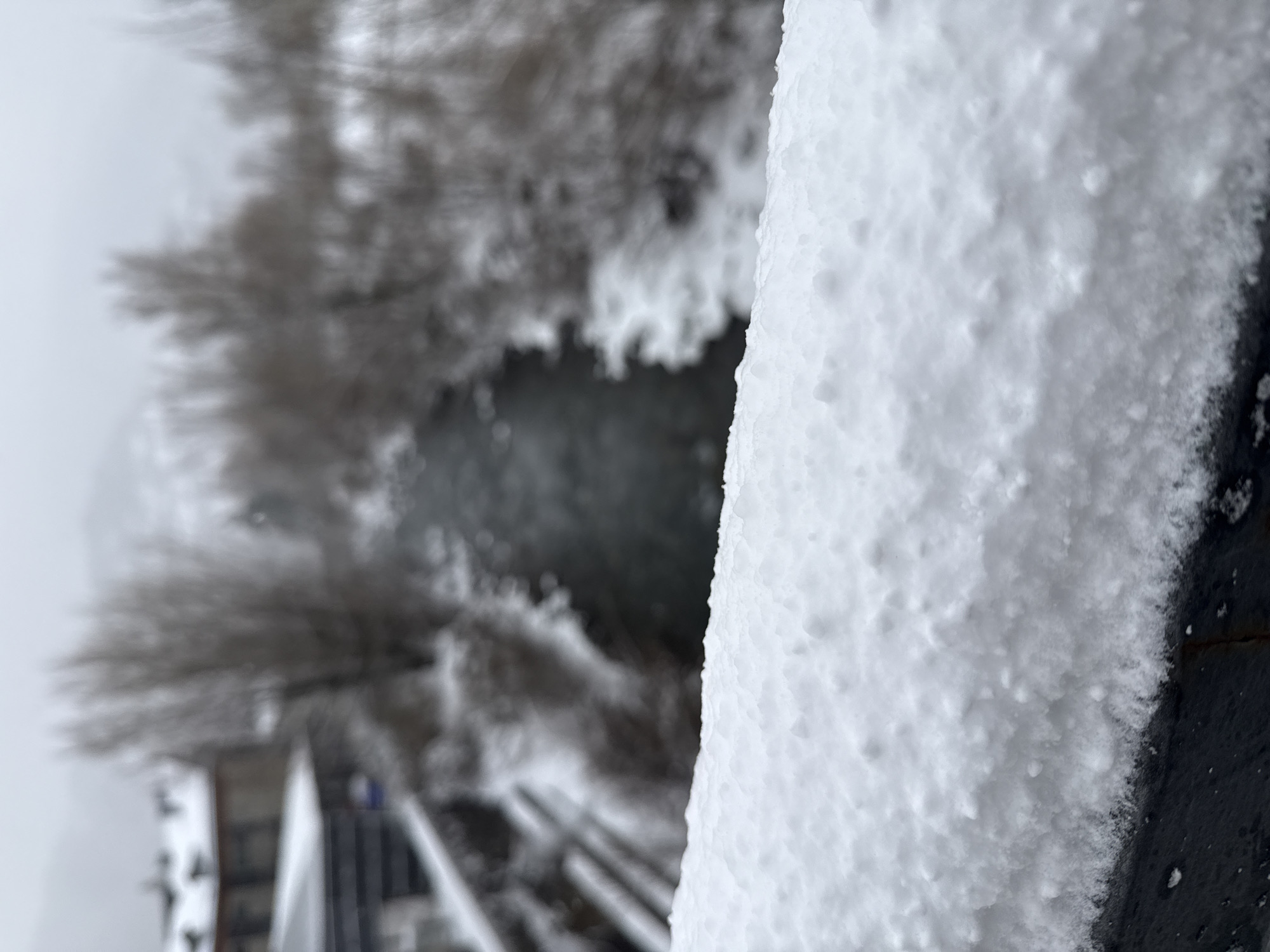 Here is a description of the image:
The image depicts a snowy scene, likely taken in winter. The foreground is dominated by a close-up of a snow-covered structure, possibly a railing or ledge. The snow appears thick and granular.
The background is out of focus, but it shows a river or stream flowing through a landscape with trees, the branches bare, suggesting it's winter. A building structure with a staircase is partially visible.
The location is likely the city of Benasque in Spain.