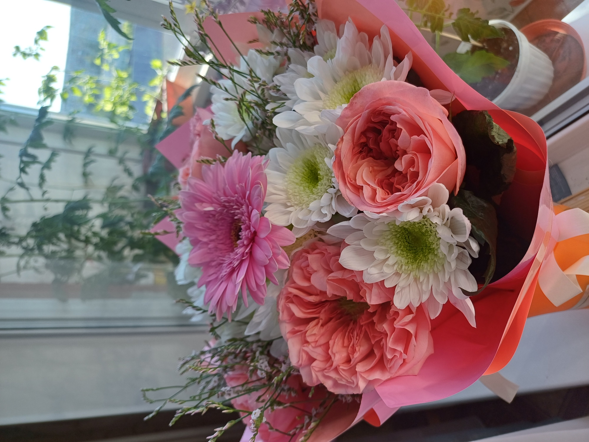 This is a close-up, eye-level photograph of a floral bouquet. The bouquet is arranged with a variety of flowers, including pink gerbera daisies, white chrysanthemums, and peachy-pink roses. The flowers are wrapped in vibrant pink and orange paper.
The bouquet is positioned in front of a window, with reflections of greenery and sunlight visible on the glass, suggesting it is daytime. Outside the window, out-of-focus trees and possibly a building are discernible. The light filtering through the window illuminates the flowers and casts a soft glow.
In the background, on a windowsill, a small potted plant is visible, adding to the domestic or indoor setting. The overall mood conveyed by the image is one of freshness and natural beauty, with the bright colors of the flowers and the soft daylight creating a cheerful atmosphere. There is no visible text in the image.