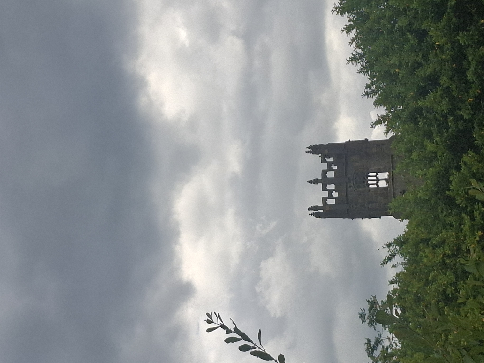 A stone church tower, partially obscured by lush green foliage, rises against a heavily overcast sky in Richmond, United Kingdom. The tower, built of weathered stone, features Gothic architectural elements, including arched openings and battlements. The sky is dominated by dark, dramatic clouds, suggesting impending rain or a storm. In the foreground, the dense green leaves of trees and bushes create a natural barrier, framing the historic structure. A single branch with sparse leaves extends from the left side of the frame, adding a touch of delicate detail to the otherwise imposing scene. The overall atmosphere is one of subdued grandeur and natural dominance.