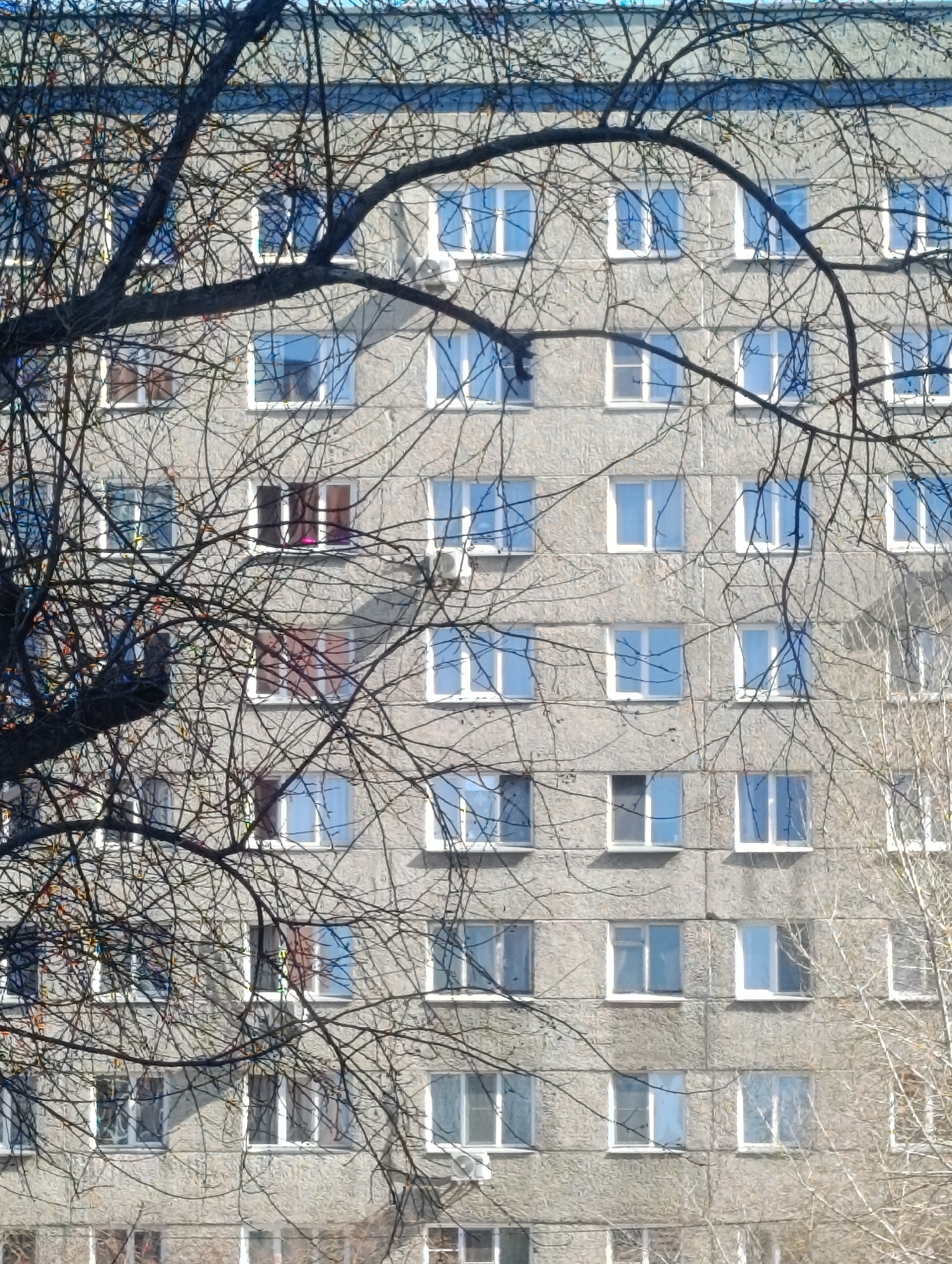The image depicts a gray, Soviet-era apartment building in Krasnoyarsk, Russia, viewed through the bare branches of a tree. The building's facade is composed of stacked, rectangular concrete panels. Numerous windows with white frames are visible, some reflecting the sky. A few windows are dark or partially covered, indicating occupancy. A small air conditioning unit is mounted below one of the windows. The branches of the tree in the foreground obscure a portion of the building. The overall scene suggests a typical residential area in a post-Soviet urban environment.