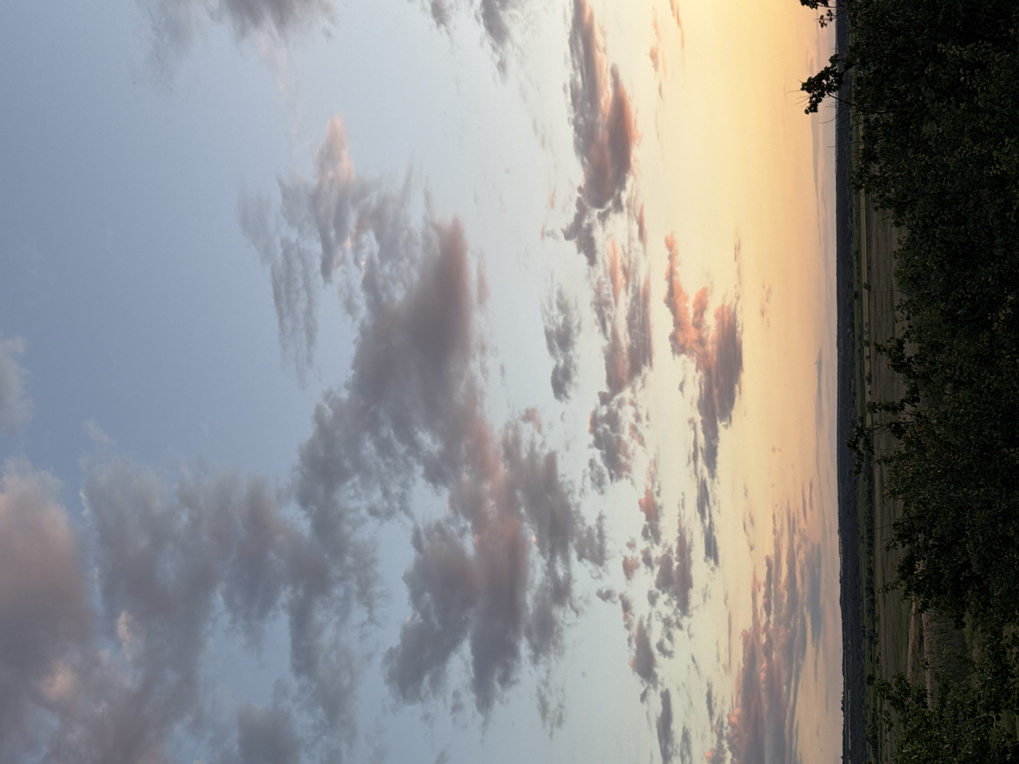 This is a vertical, eye-level, full shot of a pastoral landscape at dusk. The sky is a soft gradient of light blue at the top, transitioning to pale yellow and peach near the horizon, dotted with scattered, wispy clouds. The clouds exhibit subtle hints of pink and gray. Below the sky, a dark, tree-lined horizon stretches across the frame, with hints of green fields visible in the middle ground. In the foreground, the dark silhouettes of dense green foliage dominate the bottom of the image. The scene is devoid of any people or discernible man-made structures, conveying a sense of quiet and natural beauty. The location is described as Unknown, Unknown.