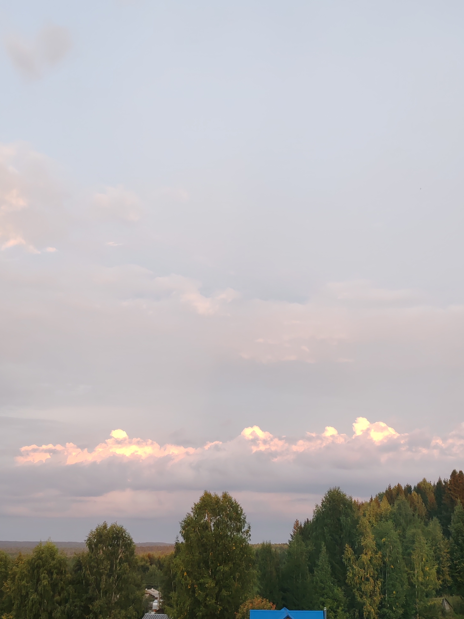 The image shows a landscape view in the city of Chukhlem, Russia, under a pale sky with soft clouds. The lower portion of the image features a dense line of green trees, with varying shades and heights, suggesting a forest or a natural wooded area. Some of the trees are tall and mature, while others appear younger. In the distance, the horizon is marked by more trees, creating a layered effect. The sky above is a muted blue-gray with streaks of pink and yellow, possibly indicating sunrise or sunset. A few scattered white clouds are visible, some tinged with pink. There are no people or animals visible in the frame, and the scene appears peaceful and natural. A small glimpse of a white roof and a blue roof structure can be seen among the trees in the lower left, indicating some human presence or structures. The overall impression is one of a serene natural environment.