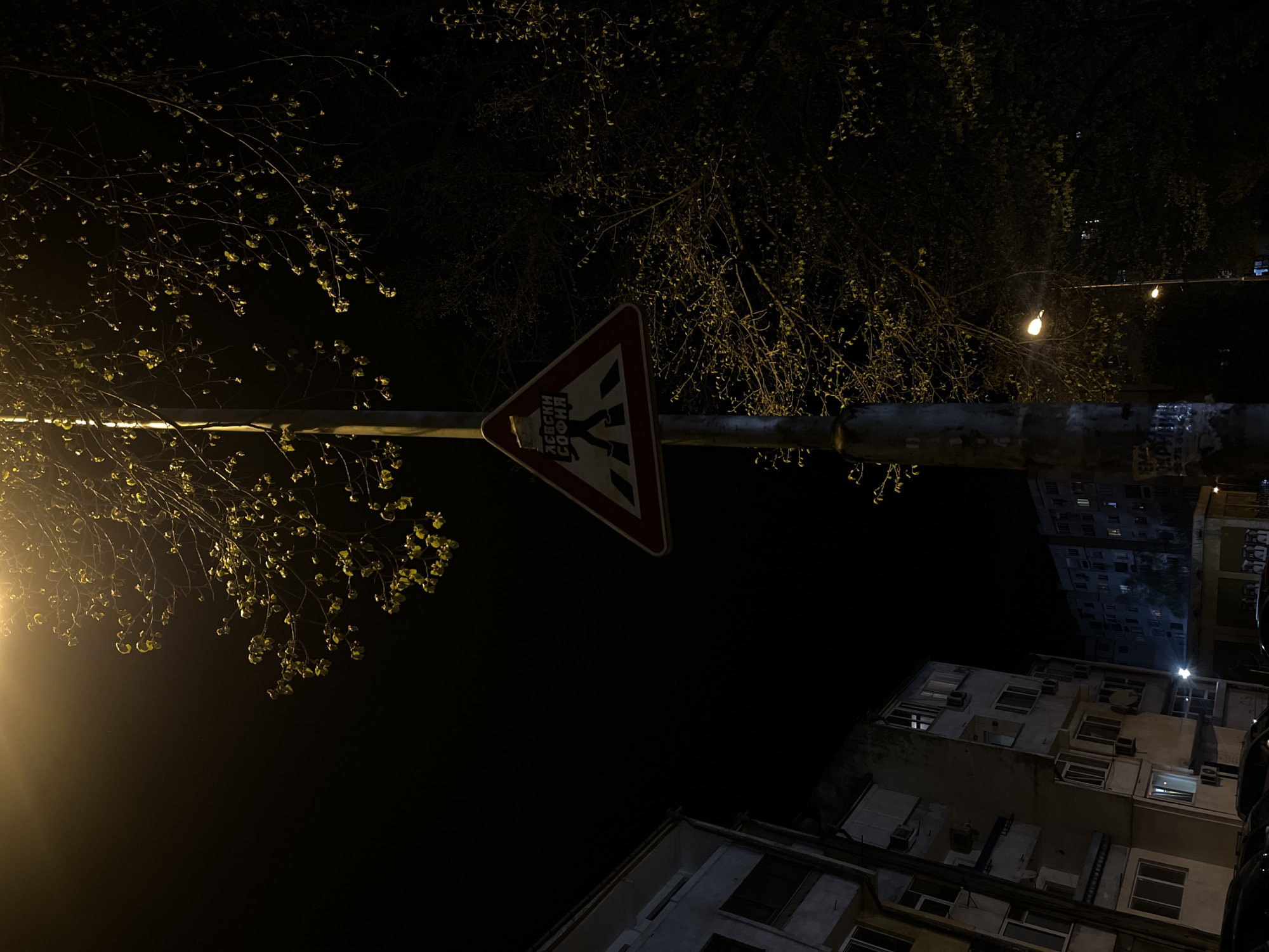 This low-angle nighttime photograph captures a pedestrian crossing sign illuminated by a street lamp. The sign, a red-bordered triangle displaying a silhouette of two walking figures, also contains illegible text in Cyrillic alphabet. The sign is mounted on a horizontal pole. Buildings rise into the darkness beyond the pole. Bare branches with new leaves are overhead. The location is Sofia, Bulgaria, evidenced by the text on the pedestrian crossing sign.