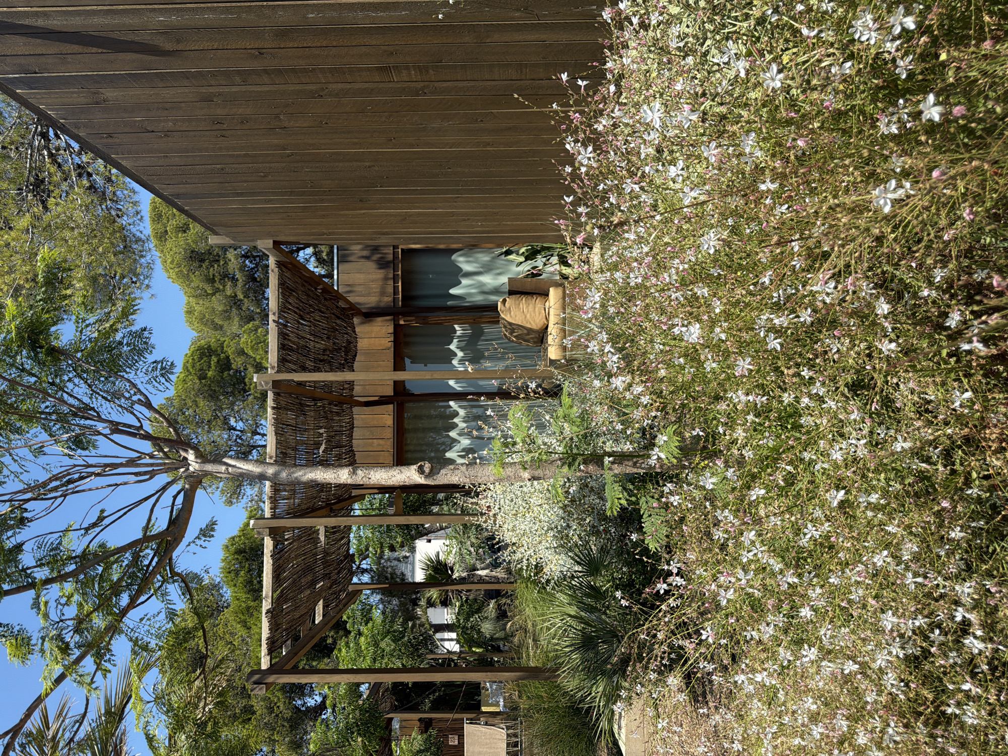 The image depicts an outdoor seating area adjacent to a modern wooden building, likely in Alcanar, Spain. In the foreground, a profusion of delicate white and pink flowers, possibly Gaura, fills the frame, creating a soft, naturalistic border. Behind the flowers, a wooden pergola with a woven reed roof provides shade over a seating area. A single beige cushion rests on a light-colored outdoor seat, positioned beneath the pergola. To the right of the seating area, the exterior of the wooden building rises vertically, its dark wood planks creating a stark contrast with the surrounding greenery. Large windows are visible through the pergola, hinting at an indoor space. A slender tree trunk with sparse foliage stands prominently in the middle ground, between the seating area and the building. Beyond the pergola, lush green trees and foliage create a dense backdrop, suggesting a natural or garden setting. The sky above is a clear, bright blue. No people are visible in the scene.