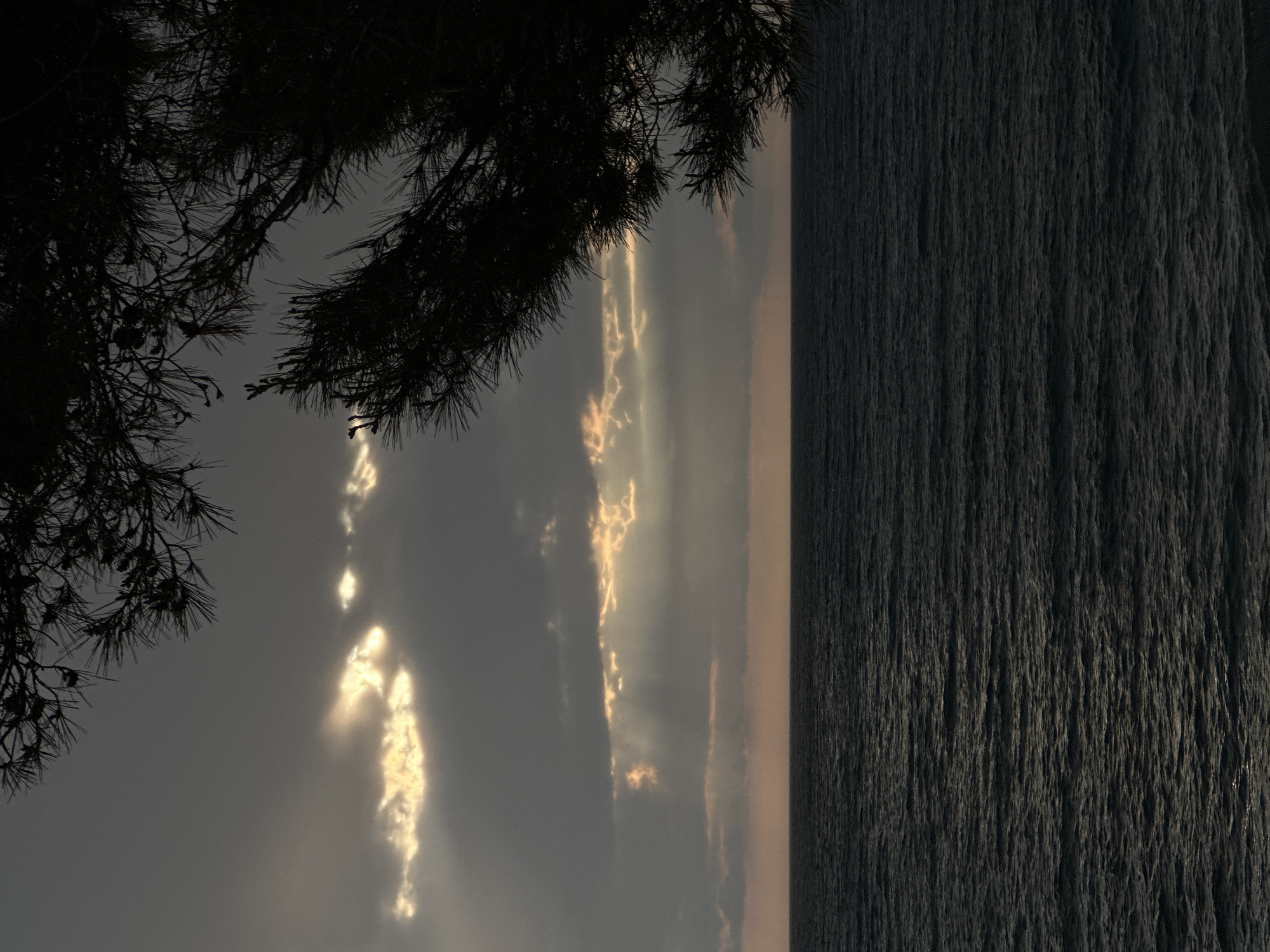 This landscape image captures a serene coastal scene, likely at sunrise or sunset, viewed from behind a tree. In the upper left and extending across the top, dark, silhouetted branches of a pine tree with visible needles and small cones frame the composition.
The sky, occupying the upper portion of the image, features dramatic clouds through which golden shafts of sunlight pierce and reflect, creating bright, luminous streaks. The sky transitions from warm, light orange and yellow hues near the horizon to darker grays and blues higher up.
Below the sky, a vast expanse of dark water, presumably the Adriatic Sea, stretches towards the horizon. The water's surface is textured with subtle ripples or small waves, catching minimal light and appearing predominantly dark. A faint, lighter line marks the distant horizon where the sky meets the sea.
The overall impression is one of natural beauty and tranquility, with the interplay of light, clouds, and water creating a peaceful atmosphere. There is no visible text or explicit activity. The setting is consistent with a coastal environment in Bar, Montenegro.
