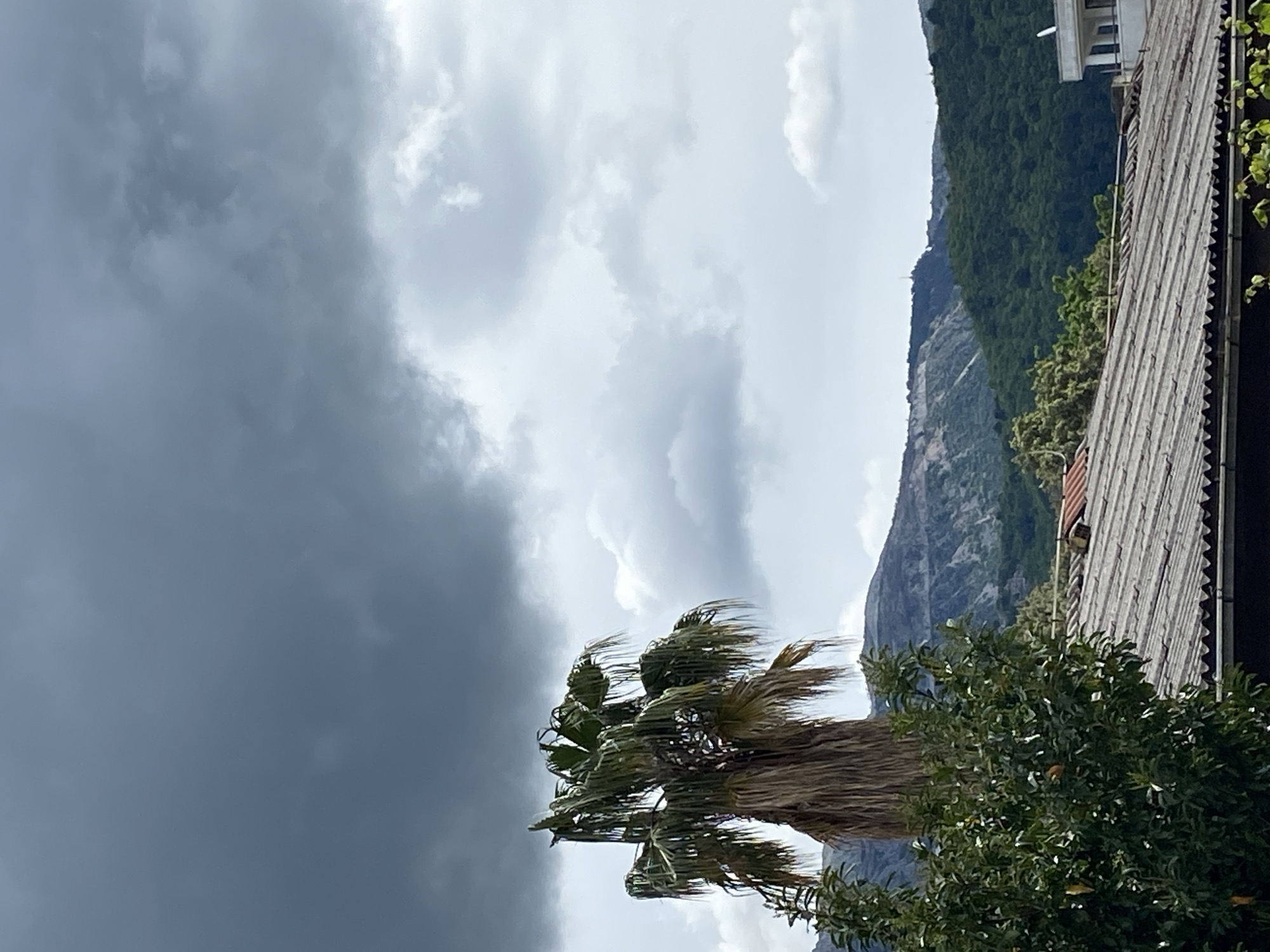 The image presents a landscape view under an overcast sky, suggesting cloudy and potentially windy weather conditions. The sky occupies a significant portion of the frame, transitioning from dark, heavy grey clouds on the left to lighter grey and white clouds on the right, indicating a dynamic weather pattern.
In the foreground, a prominent palm tree stands, its fronds visibly blurred and wind-swept, suggesting the presence of strong gusts. To the right of the palm tree, a dense, dark green leafy bush or tree fills the lower right corner.
The middle and background are dominated by a large, verdant mountain range. The upper slopes of the mountain are covered with lush green forest, while lower sections appear rockier and greyer. On the far right, a section of a corrugated metal roof is visible, likely belonging to a house or building. Above this, a glimpse of a modern white building, possibly a residence or hotel, with distinctive architectural details like balconies or columns, can be seen peeking over the mountain line.
The scene conveys a sense of nature's power, with the dramatic cloud formations and the wind-affected vegetation. The combination of mountainous terrain, tropical-looking vegetation, and structures hints at a Mediterranean or similar coastal environment, consistent with the specified location context of Budva, Montenegro. No visible text is present in the image.