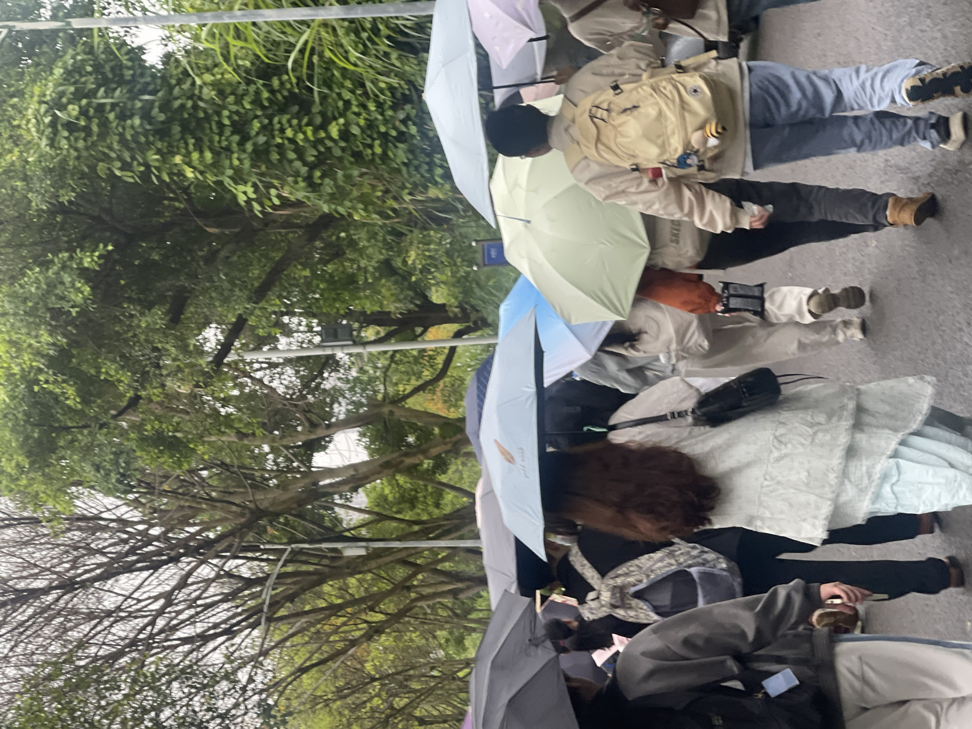 The image, rotated clockwise, depicts an outdoor scene of a crowd of people queuing or gathered on a paved surface, likely a street or pathway. Most individuals are seen from behind or from a slightly elevated perspective, holding open umbrellas of various colors including white, light green, light blue, dark grey, and light purple, suggesting either rain or strong sun.
The subjects are dressed casually in jackets, jeans, and trousers, and many are carrying backpacks or bags. One person in the foreground wears a light beige backpack featuring a small bee charm. Faint, illegible text is visible on one of the white umbrellas.
The setting is characterized by an abundance of trees; some on the left have full green foliage, while others on the right display mostly bare branches against an overcast sky. This combination of natural elements and a paved path indicates an urban environment, possibly within the Chongqing High-tech Zone, China. The activity appears to be a communal waiting or movement, with the umbrellas serving as protection from the elements. The time of day is daytime, under a generally cloudy sky.
