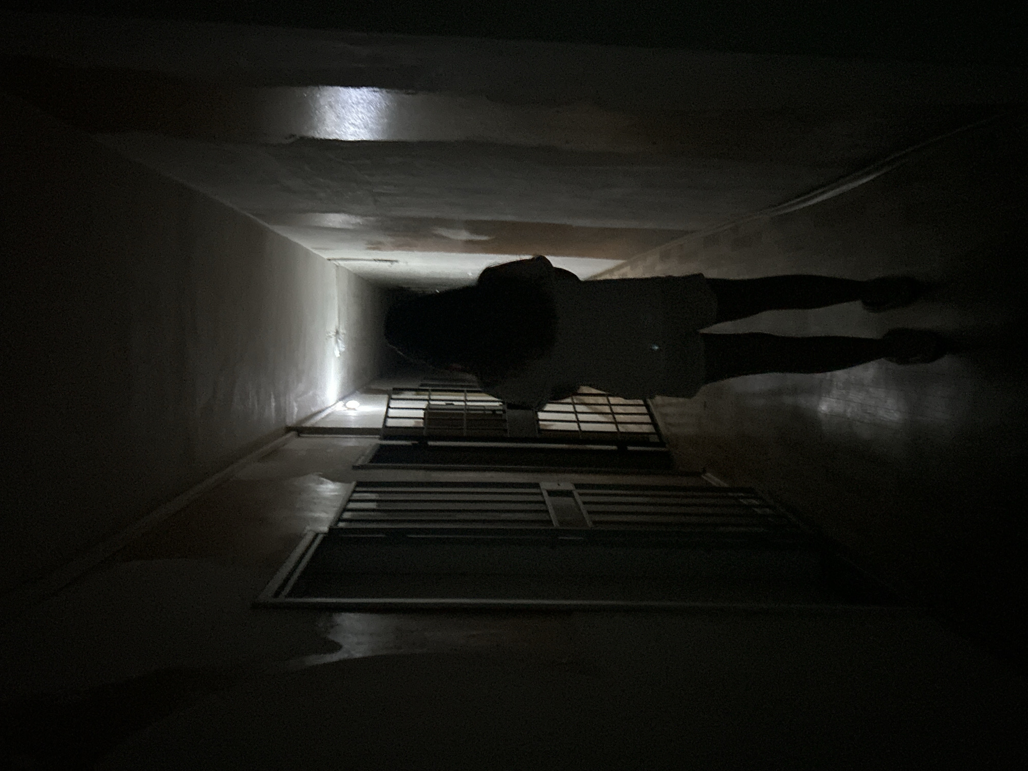 A person is standing on a staircase, looking upwards towards an enclosed, narrow space, possibly an air shaft, in a building in Sofia, Bulgaria. The person is wearing a light-colored shirt and dark footwear. The stairwell has metal grate platforms. The lighting is dim, with some light filtering from above. The walls appear to be concrete or plaster.