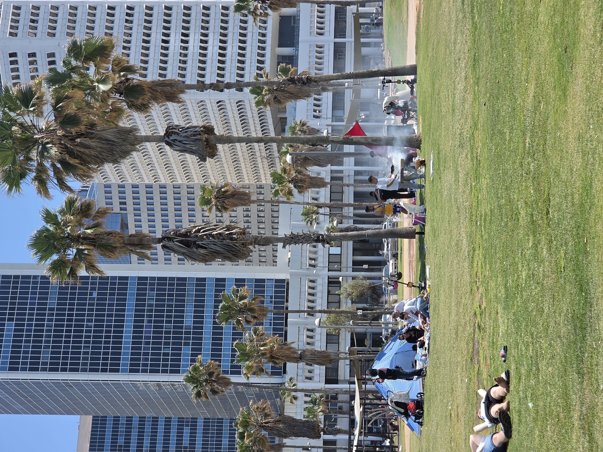 The image depicts a scene in a park with high-rise buildings in the background. The park appears to be located in Tel Aviv, Israel. Several palm trees line the park. People are seen relaxing on the grass. Some individuals are near a smoking grill, while others are sitting or lying down. A blue tent is visible near the lower edge of the image. The buildings in the background feature a grid-like pattern of windows. The grass is lush green. The sky is clear.