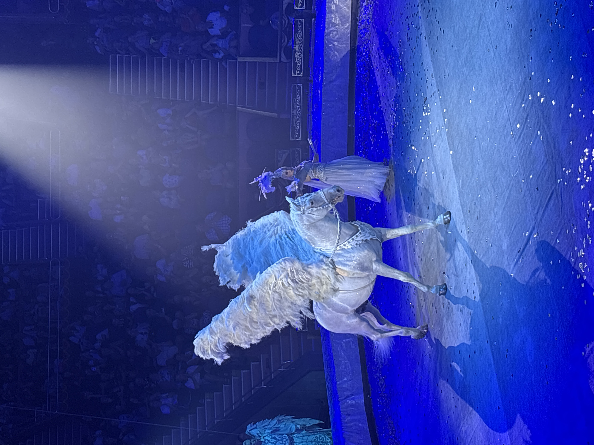 This is a medium shot, taken from a slightly elevated angle, of a performance in an arena. The primary subjects are a white horse adorned with large, feathery wings, and a woman in a long, flowing dress and an elaborate headdress. The horse is standing on a blue-lit arena floor, with confetti scattered around its hooves. The horse is wearing a decorative bridle and harness. To the left of the horse, a figure in a blue costume with wings and headdress is visible. The woman is standing to the right of the horse, facing it, and appears to be interacting with the animal. In the background, rows of spectators are seated in tiered seating. A bright spotlight illuminates the scene from above. The overall impression is of a circus or theatrical performance, likely taking place indoors in an arena. The image does not provide specific details to confirm a location in Sochi, Russia.