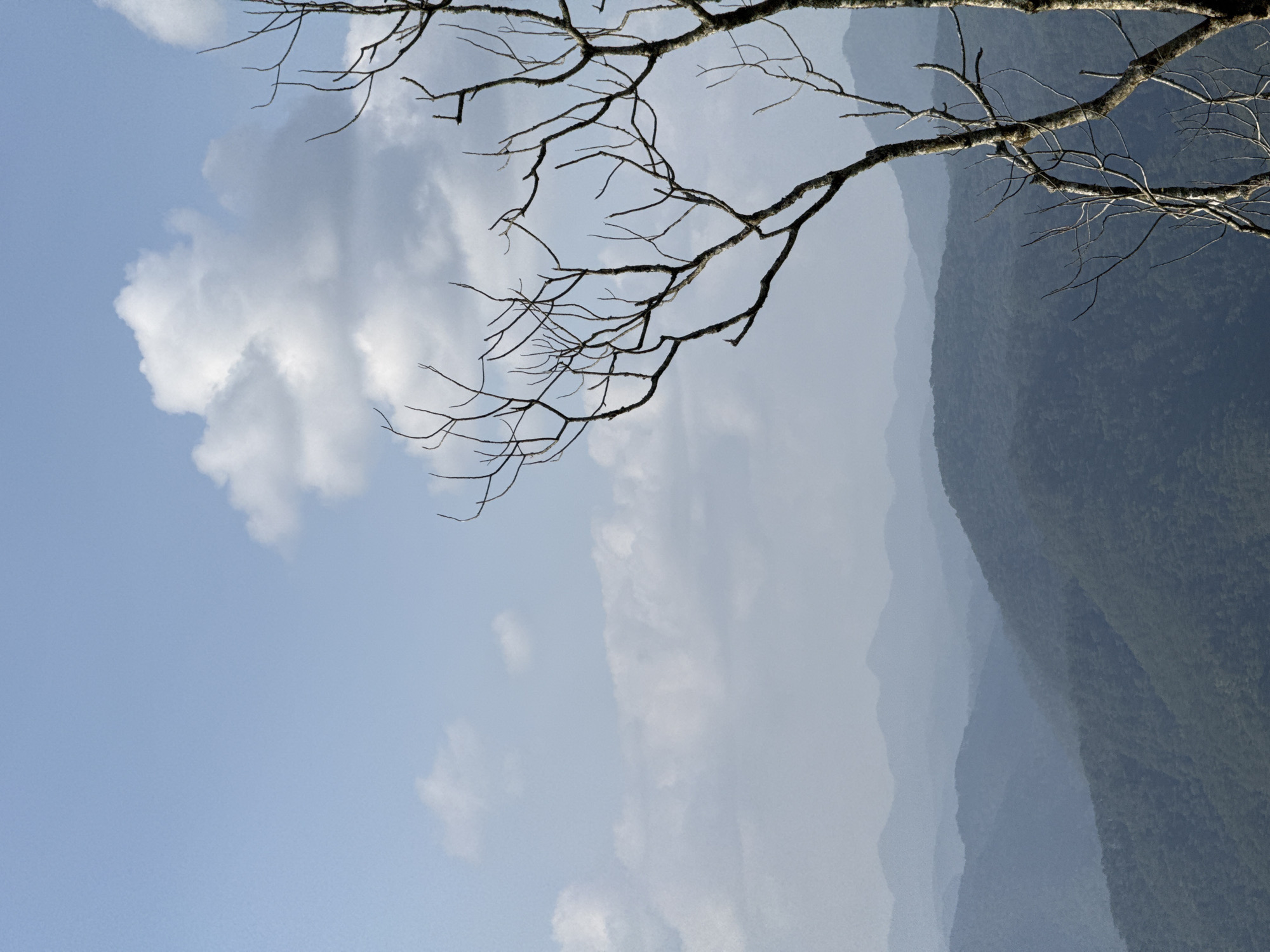 The image depicts a mountainous landscape under a hazy blue sky with scattered clouds. In the foreground, a bare deciduous tree with intricate branches occupies the right side of the frame, partially obscuring the view of the distant mountains. The mountains recede into the background in multiple layers, each appearing a lighter shade of blue or gray due to atmospheric perspective, suggesting a significant depth to the landscape. The closest mountains are densely covered in dark green foliage, while the further ones are indistinct silhouettes. The overall scene conveys a sense of vastness and natural beauty, potentially captured from a viewpoint overlooking a valley or mountain range. Based on the context provided, this scene is located in Phát Chi, Vietnam.