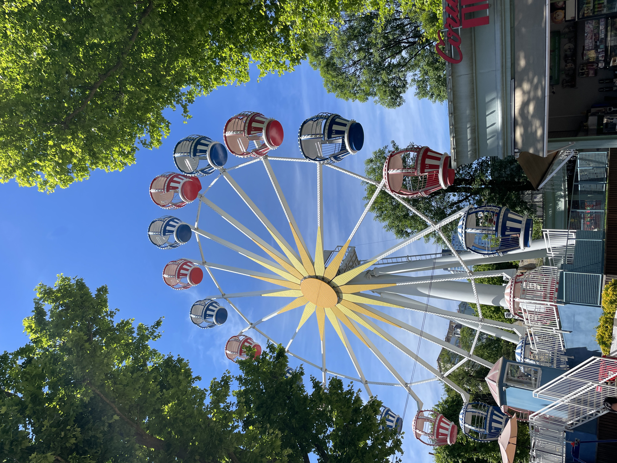 An upward-looking view captures a vibrant Ferris wheel set against a clear, bright blue sky with faint wisps of clouds. The Ferris wheel is the central subject, featuring a striking yellow, sun-shaped hub from which numerous white spokes radiate outwards. Its gondolas are distinctively colored in alternating patterns of red-and-white stripes and blue-and-white stripes, with some numbered, such as "18", "16", and "15" visible on individual cabins.
Lush green trees frame the scene from the left side and partially at the bottom, suggesting a verdant park setting. To the right of the Ferris wheel, a light-colored building can be seen, adorned with a large red sign that prominently displays the text "Coca-Cola". Below this, elements of an amusement park facility are visible, including what appears to be a concession stand or entrance area with metal grates, and white stairs and railings leading up to the Ferris wheel's loading platform. The top of one person's head and shoulder are visible in the bottom right corner, near the base of the ride.
The bright daylight indicates a sunny day, creating strong contrasts and well-lit conditions. The scene depicts a lively recreational environment, characteristic of an amusement park or fairground, located in Sochi, Russia.