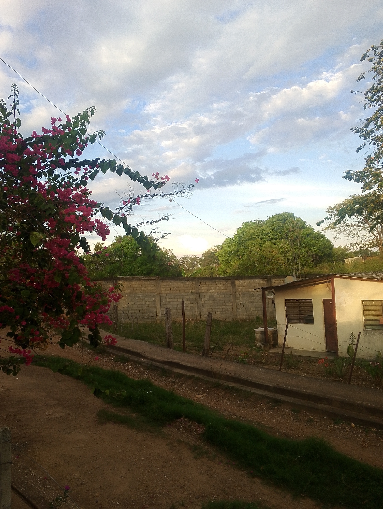 A residential street scene in San Carlos, Venezuela features a dirt road bordering a concrete drainage ditch with sporadic green vegetation. A pink bougainvillea bush dominates the left foreground. A concrete block wall runs along the property line, behind which a small, single-story stucco building with a brown door and barred windows sits. Trees and vegetation fill the background. Overhead, a partly cloudy sky is visible. Power lines are present. Fencing is made of barbed wire attached to wooden posts. No people are visible in the image.
