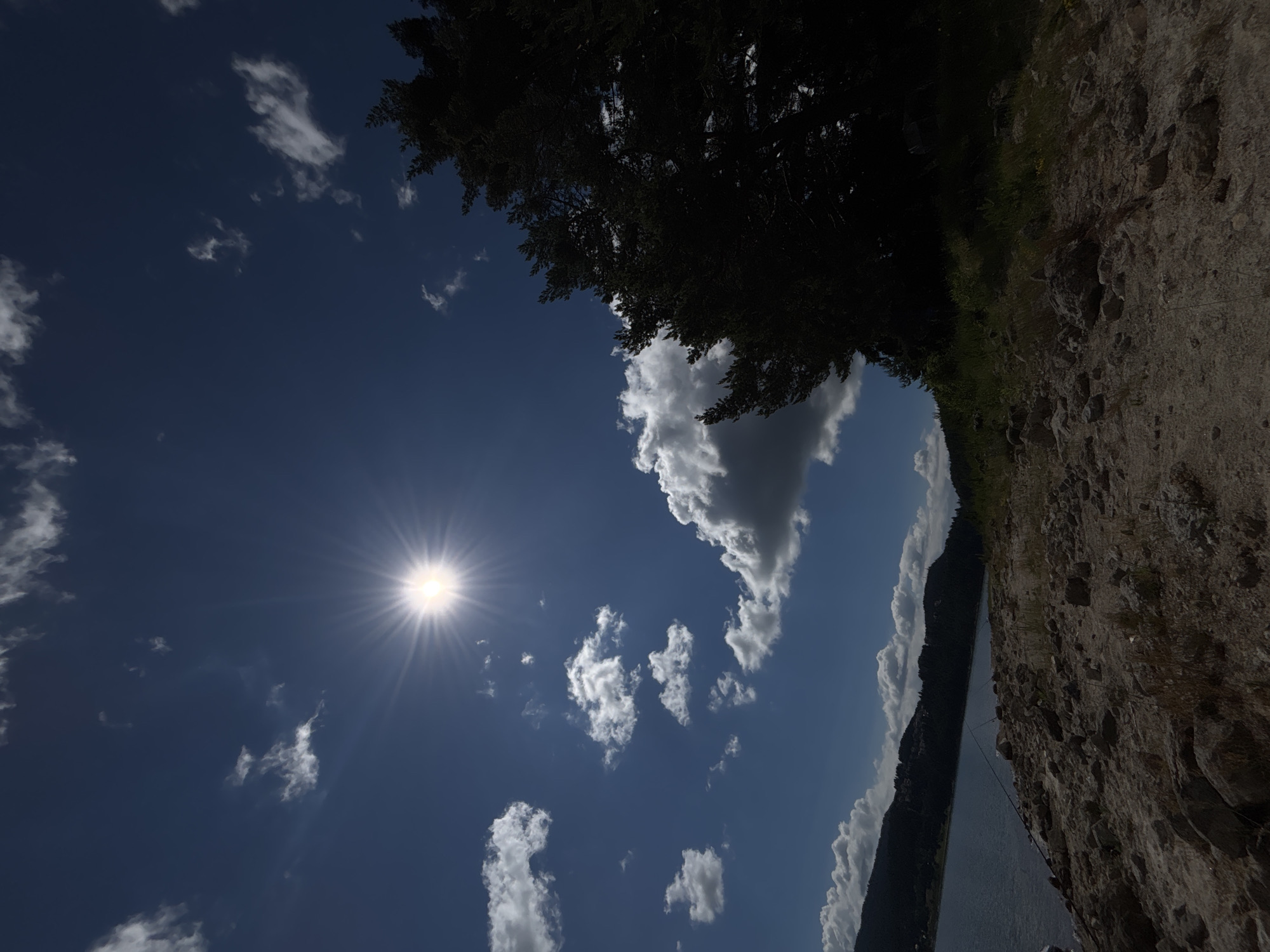 A low-angle, wide shot captures a sun-drenched, rocky shoreline along a calm body of water, possibly a lake or reservoir. The sky is a vibrant, deep blue, dotted with scattered white clouds. The sun, a brilliant, star-like orb, is positioned in the upper-left quadrant of the frame, emitting strong rays that create a lens flare effect. To the right, the dark, silhouetted branches of a large conifer tree dominate the scene, its foliage appearing dense and lush. In the distance, a lush green hillside is visible, with what appears to be a settlement or buildings nestled within the trees on its slopes. The foreground is composed of rough, uneven terrain covered in rocks of various sizes, with sparse patches of dry grass and vegetation. Several fishing rods, their lines extending into the water, are planted along the shoreline, suggesting recreational activity. The overall impression is one of a peaceful, natural landscape bathed in the bright light of a sunny day.