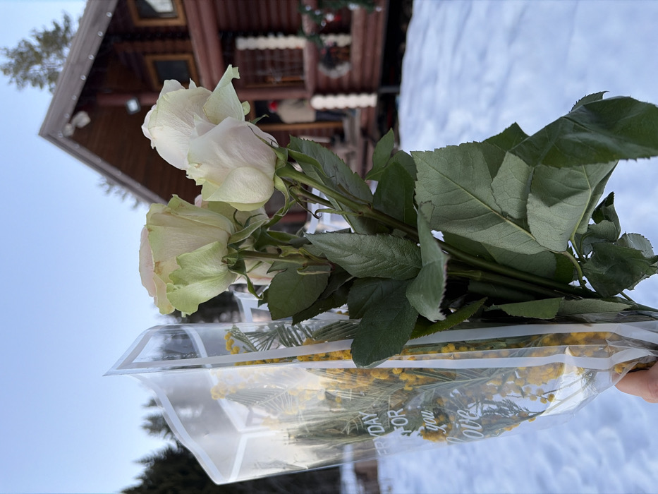 A close-up, waist-level view in Vaskelovo, Russia, shows a person's hand holding two distinct bouquets of flowers against a snowy outdoor backdrop. In the immediate foreground, to the right, a bouquet containing at least four light cream or pale pink roses with prominent green sepals and deep green foliage is held. To the left, a second bouquet of bright yellow mimosa flowers with slender green leaves is enclosed in a transparent plastic sleeve. White text reading "EVERYDAY FOR you LOVE" is faintly visible on the plastic. The ground is covered uniformly with white snow. In the midground, out of sharp focus, stands a rustic two-story log house with a pitched roof, dark brown logs, and visible window frames. A blurred individual wearing a light-colored jacket and a red hat is positioned on the porch or entrance area of the log house. Evergreen trees are visible in the distant background under a clear, pale blue sky.