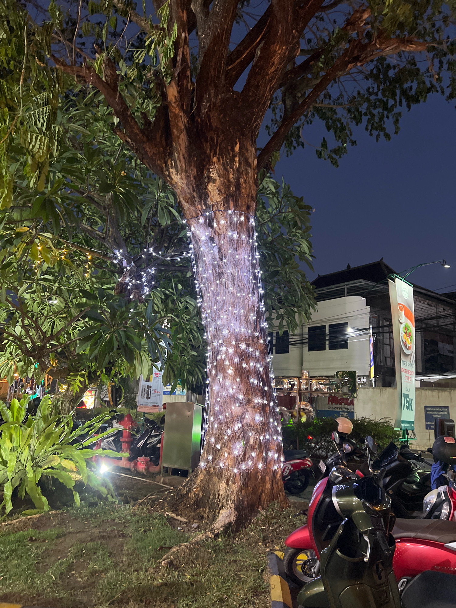 The image depicts a street scene at dusk in Kuta, Indonesia, likely near a commercial area. A large tree in the foreground is wrapped with numerous white fairy lights, illuminating its trunk and lower branches. To the left of the tree, lush green foliage and ferns are visible, with some street lights and possibly traffic signals in the distance. In the background, several buildings with white facades and darker tiled roofs are present, suggesting shops or residences. A tall banner hangs from a lamppost, displaying food imagery and text in Indonesian. A row of parked motorcycles, primarily scooters, occupies the middle ground, with one red scooter in the immediate foreground. A fire hydrant with red pipes is also visible amongst the greenery. The overall atmosphere is that of a well-lit, urban environment transitioning into nighttime.