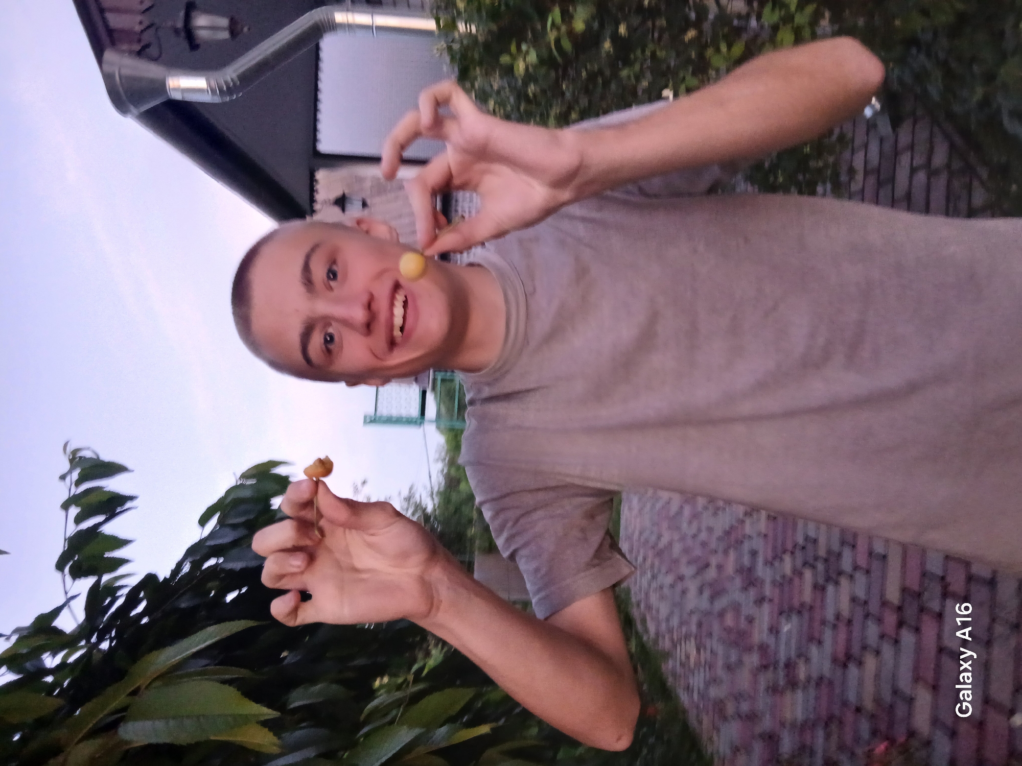 A young male with a buzz cut stands outdoors in what appears to be a backyard or garden area, holding two small, light-colored berries, one in each hand. He is wearing a plain grey t-shirt. His mouth is open in a wide smile, and his eyes are looking towards the camera. The background consists of lush green foliage to his left, a stone pathway in front of him, and a building with dark siding and a silver downspout to his right. The sky above is a pale, overcast blue. The image is watermarked with "Galaxy A16" in the bottom left corner, indicating it was captured with a Samsung Galaxy A16 phone. The scene is likely in Ustyvytsia, Ukraine, based on the provided context.
