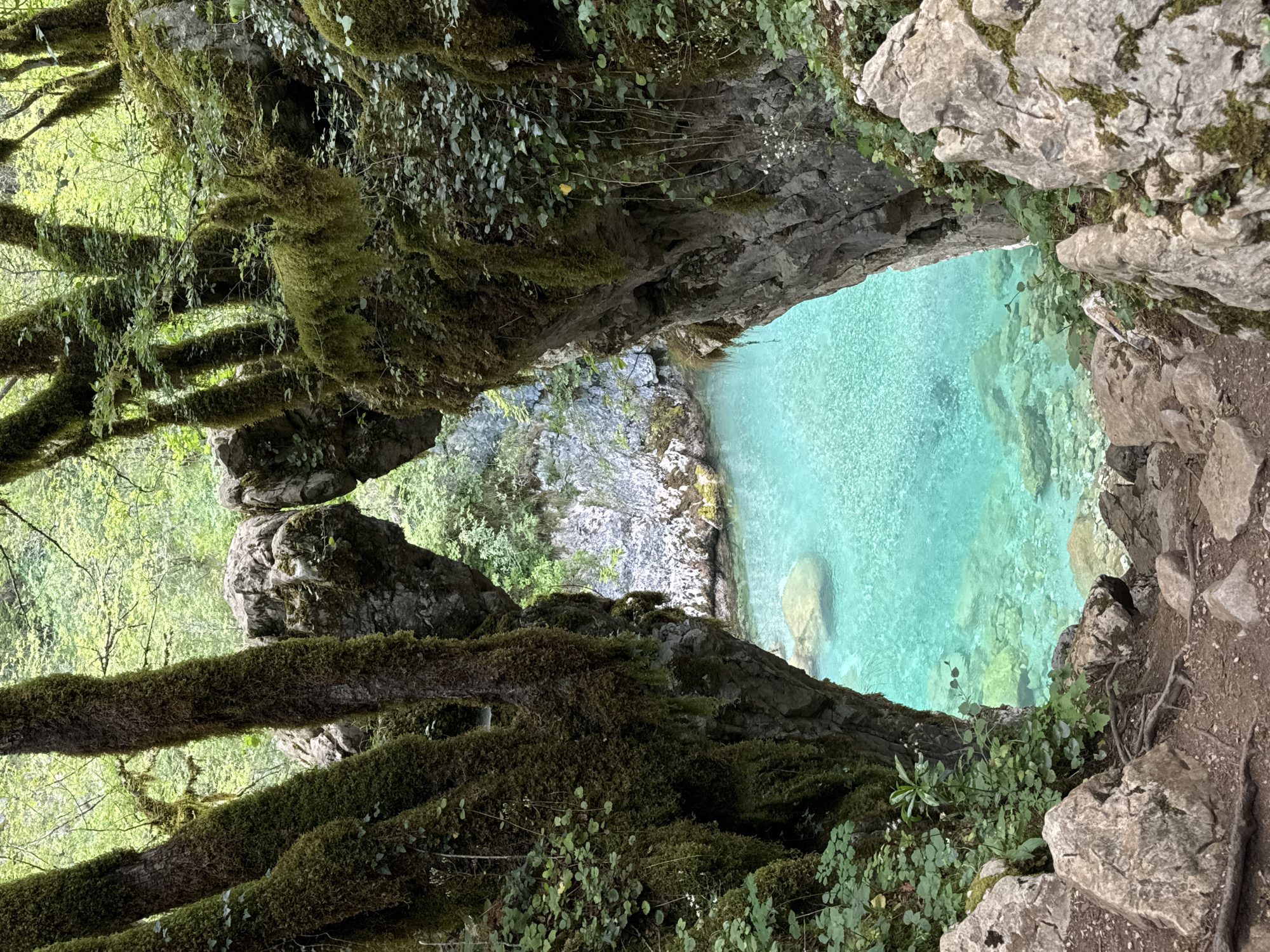 A still, outdoor shot presents a body of water framed by rocks and vegetation. The water, a clear turquoise, occupies the upper right portion of the frame. Rocks covered in moss form the foreground on the right. On the left, a tree branch, also covered in moss, extends towards the water. Other greenery fills the spaces around the rocks and branch. The image, taken at the city of Lazba, Montenegro, features a serene natural environment.