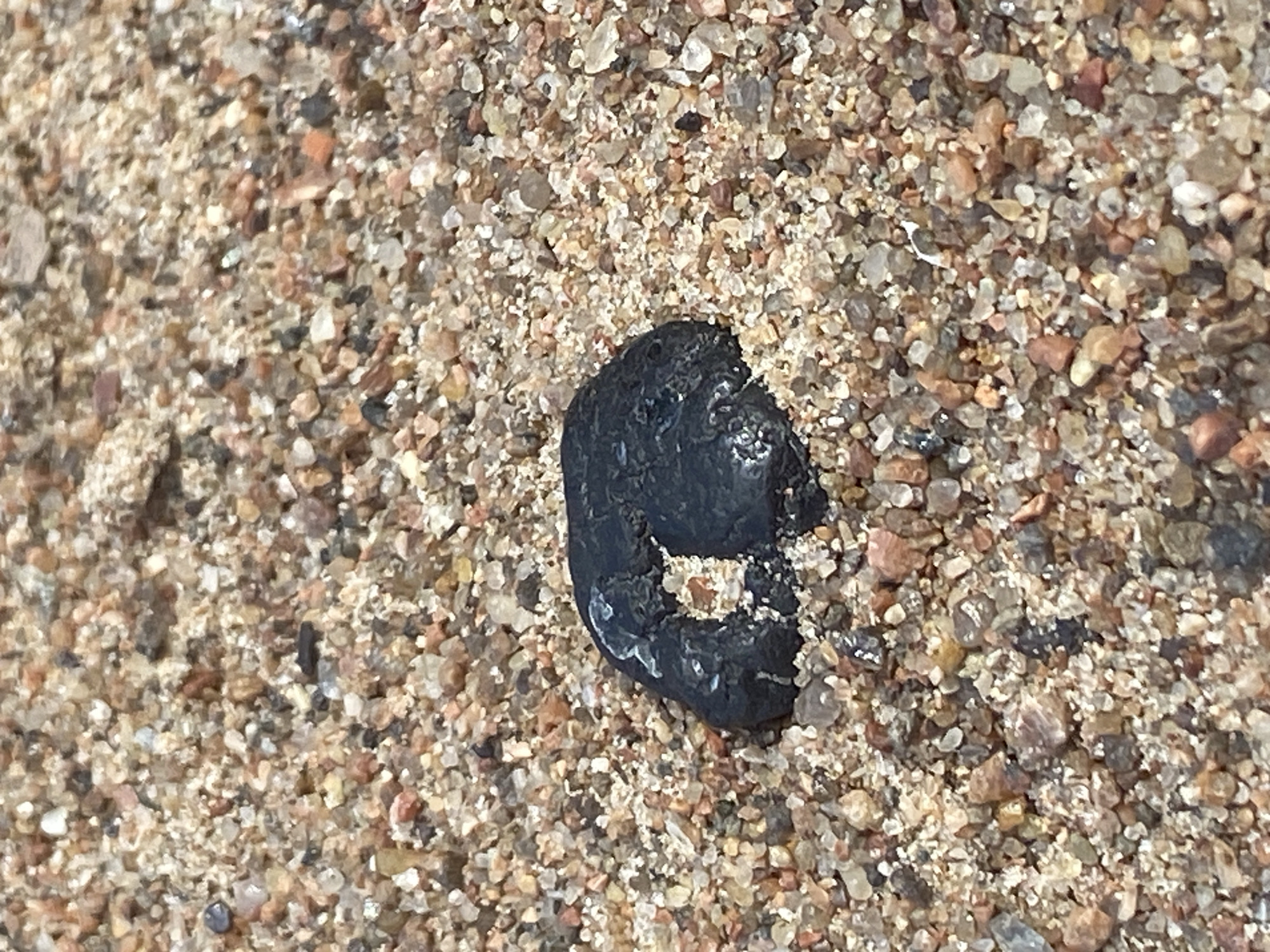 A black, irregularly shaped object is situated on a sandy beach composed of small, multicolored pebbles. The object has a slightly glossy surface and appears to have a hole or indentation in its center. The surrounding sand and pebbles are varied in color, ranging from light tan and white to reddish-brown and gray. The lighting suggests it is daytime, with a slight sheen on the black object indicating moisture or a smooth texture. The image is taken from a close-up, high-angle perspective. This scene is not in Saint Petersburg, Russia.