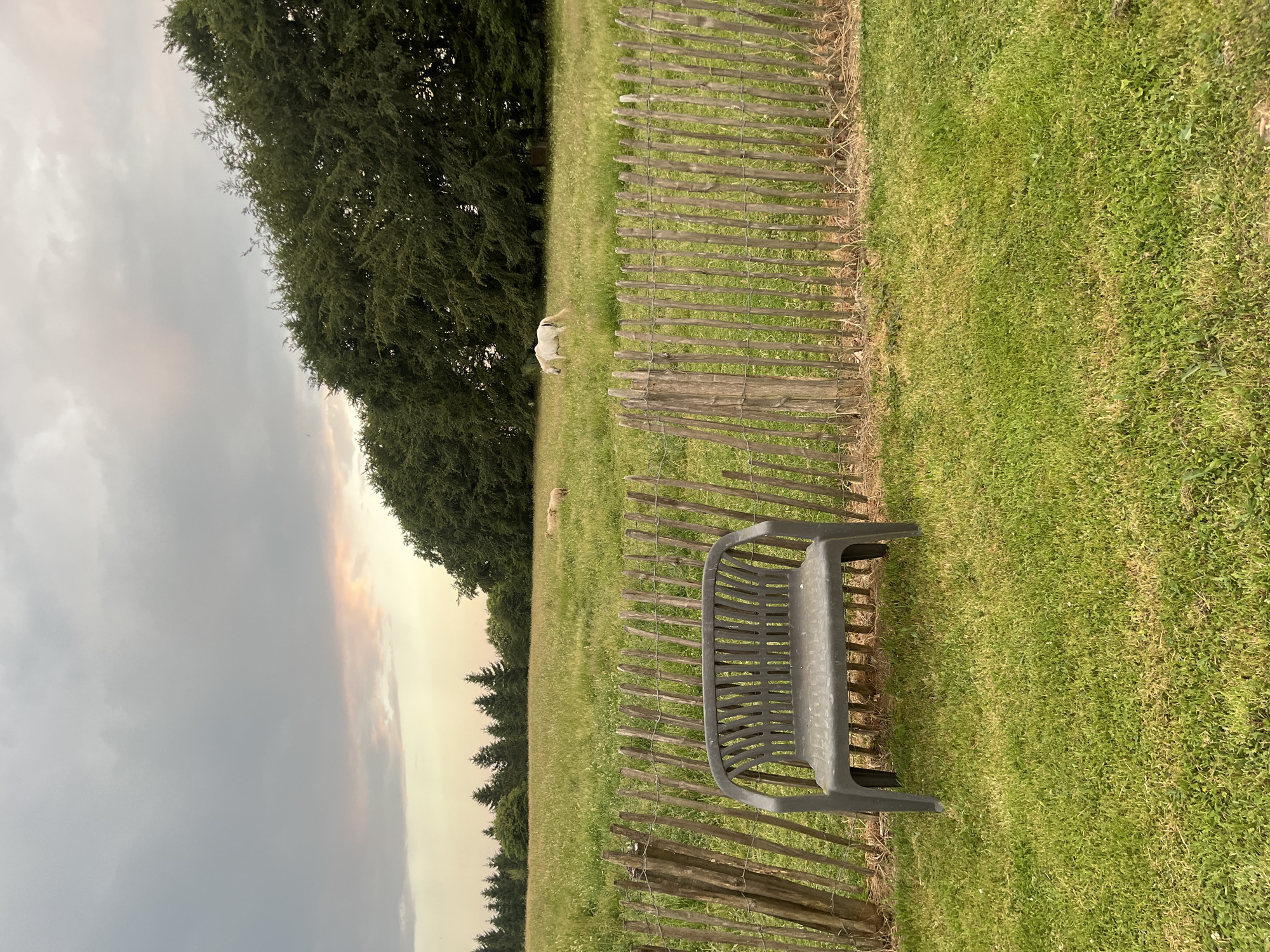 The image depicts an outdoor scene with a focus on a grassy field and a cloudy sky. A dark gray plastic bench is positioned in the foreground, facing towards the left side of the frame. Behind the bench, a rustic wooden fence made of irregularly spaced vertical stakes runs across the middle ground.
In the background, a lush green field stretches out, dotted with a few sheep grazing. To the left of the field, a dense cluster of dark green trees forms a thick line, partially obscuring the horizon. The sky above is filled with dramatic, overcast clouds, with hints of warm, diffused light breaking through in the distance, suggesting either dawn or dusk. The overall atmosphere is serene and natural, with a touch of moody weather. There is no visible text in the image.