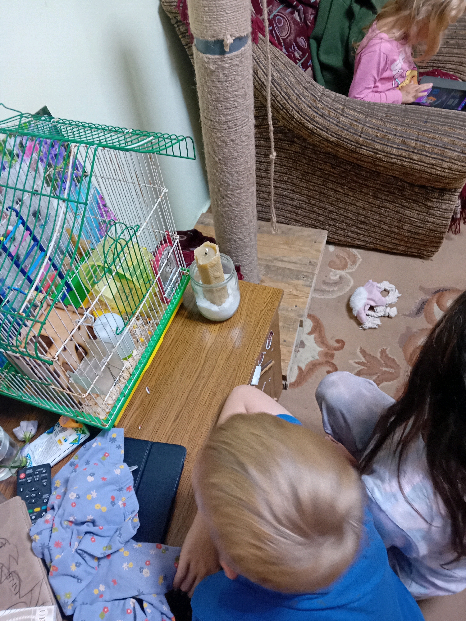 This is a medium-shot, indoor photograph taken at an oblique angle, capturing a scene on a wooden floor adjacent to a couch. The focal point is a green wire hamster cage containing a small rodent, a wooden house, and various accessories. To the right of the cage, a glass jar holds a partially burned candle. In the foreground, a young child, identified as male by attire, is seated on the floor facing away from the camera, with his head turned to the right. To his right, another child, identified as female, is seated and looking at a tablet computer. The environment includes a large, textured couch with a woman wearing a pink sweater seated on it, and a cat scratching post. A rug with a swirling pattern covers the floor. The overall impression is one of domestic activity and leisure, with children engaged with toys and technology. The image does not provide any specific clues about its location in Chuhuiv, Ukraine.