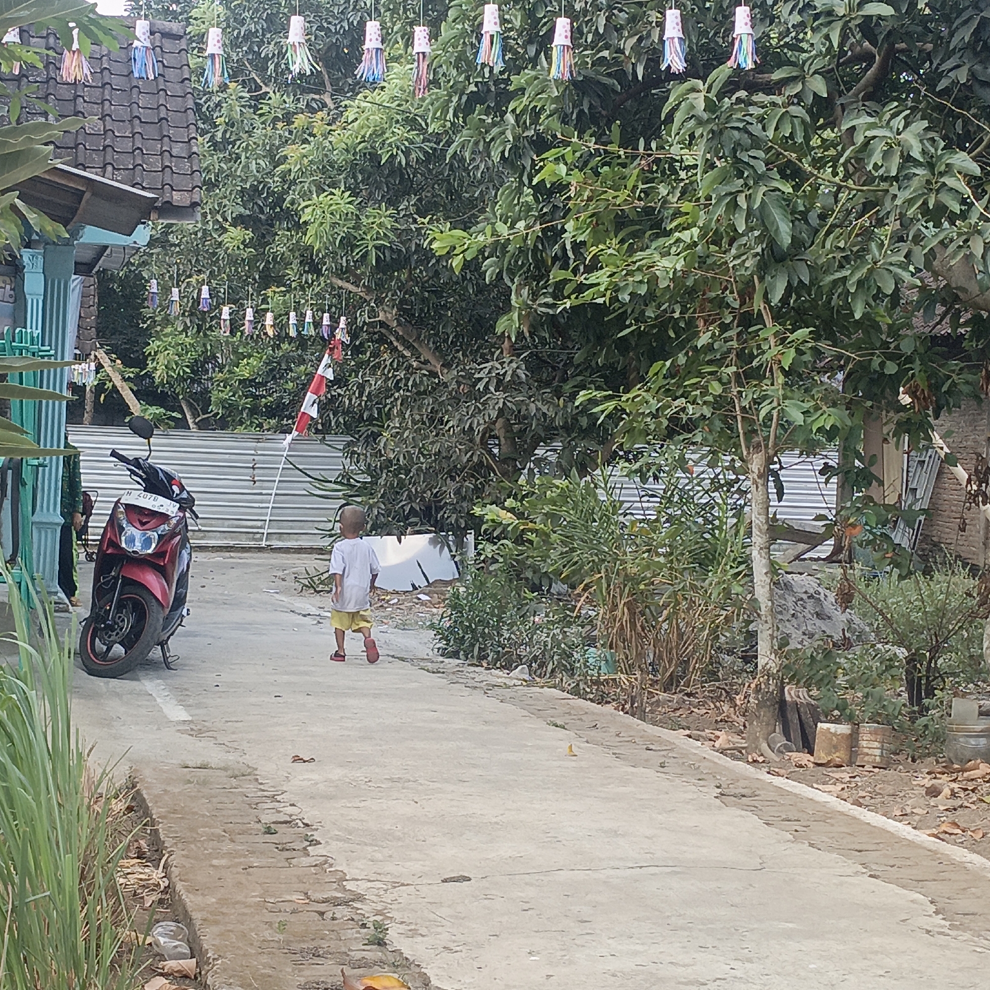 The image captures a narrow, paved street in Salatiga, Indonesia, lined with lush green trees and vegetation. In the foreground, a red and black motorcycle is parked on the left side of the road, partially obscured by tall green grass. A young child, wearing a white t-shirt and yellow shorts with red sandals, walks away from the viewer down the street. Further down the road, a red and white flag on a white pole is visible, and overhead, a series of decorative paper lanterns with colorful tassels are strung across the street. The background reveals buildings with tiled roofs and corrugated metal fences, hinting at a residential or semi-rural setting. The overall atmosphere suggests a quiet, everyday scene in a tropical environment.