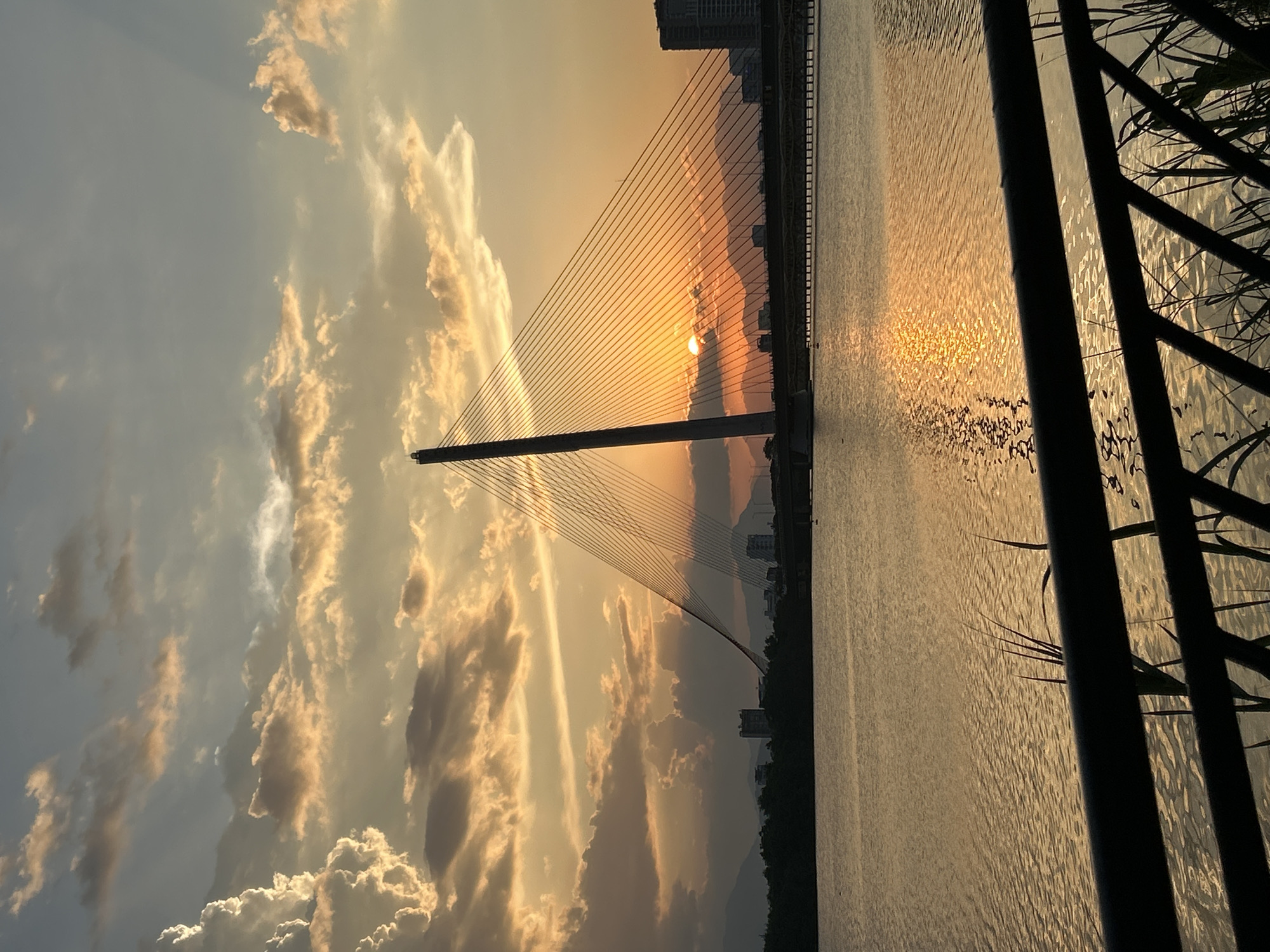 The image shows a sunset over the Han River in Da Nang, Vietnam, with the Dragon Bridge prominently featured. The sky is filled with dramatic clouds illuminated by the setting sun, which is partially obscured by the bridge's cables. The water of the river reflects the golden hues of the sunset. In the background, city buildings and silhouetted mountains are visible. The foreground features a dark railing and some reeds, suggesting a viewpoint from a riverside park or walkway.