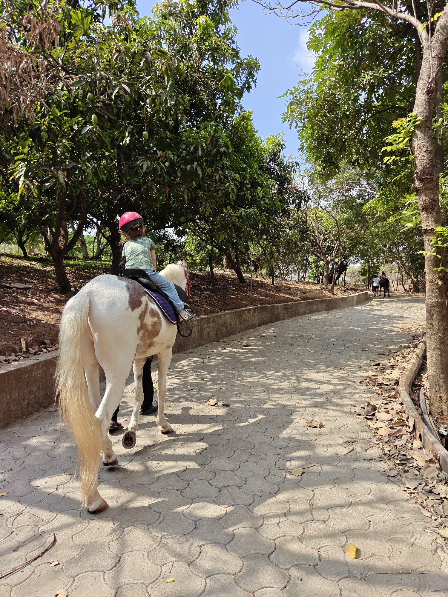 A young child wearing a pink helmet and casual clothing rides on a white and brown horse on a paved path. A person in dark clothing is partially visible walking alongside the horse, likely guiding it. The path is lined with trees on both sides, casting shadows on the ground. The location is Kalote Mokashi, India, as specified. Other individuals riding horses are visible further down the path. The surrounding environment includes trees, foliage, and a concrete curb along the side of the path.