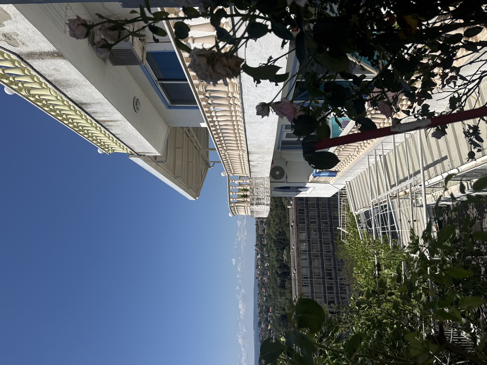 The image shows a view from a balcony overlooking a cityscape and a body of water, likely the Black Sea, in Varna, Bulgaria. The foreground features a white building with a decorative balustrade and blooming pink roses. In the midground, there is a large, multi-story building with many windows, possibly a hotel or residential complex. Beyond that, a densely wooded area separates the buildings from the distant city and coastline. The sky is clear and blue, indicating a sunny day.