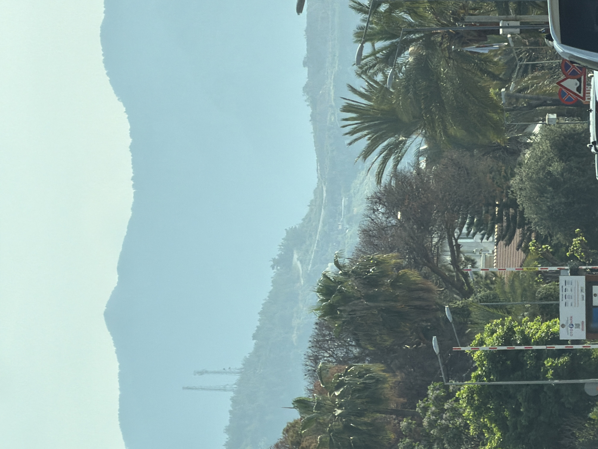 The image captures a scenic, semi-urban landscape featuring mountains, abundant vegetation, and road infrastructure, viewed under a hazy daytime sky.
In the distant background, a prominent mountain range extends across the frame, appearing soft and blue due to atmospheric haze. Faintly visible on one of the mountain slopes are two tall structures, possibly communication towers or utility poles. The sky above is bright, suggesting daylight hours, but the overall atmosphere is somewhat muted by the haze.
The midground and foreground are rich with diverse plant life. Numerous large palm trees with dense green fronds are prominent, particularly on the right side of the image, alongside other leafy trees and some deciduous trees with bare branches.
Several man-made objects are interspersed within this verdant setting. On the far right, a white and red striped barrier, likely marking the entrance to a parking lot or restricted area, is visible. Above and to the left of this barrier stands a white rectangular sign. This sign clearly displays the word "OTOPARK" (Turkish for 'parking lot') in large capital letters, accompanied by smaller text and a QR code below. Another red and white triangular road sign, possibly a warning or yield sign, is partially obscured near the top right. Streetlights or similar fixtures are also present among the trees.
No people are visible, and there is no specific activity taking place, suggesting a static landscape view. The perspective, with a partial vehicle window frame visible on the extreme right, implies the photo was taken from inside a moving vehicle. The bright, hazy conditions and the "OTOPARK" sign align with the provided context of Alanya, Turkey.