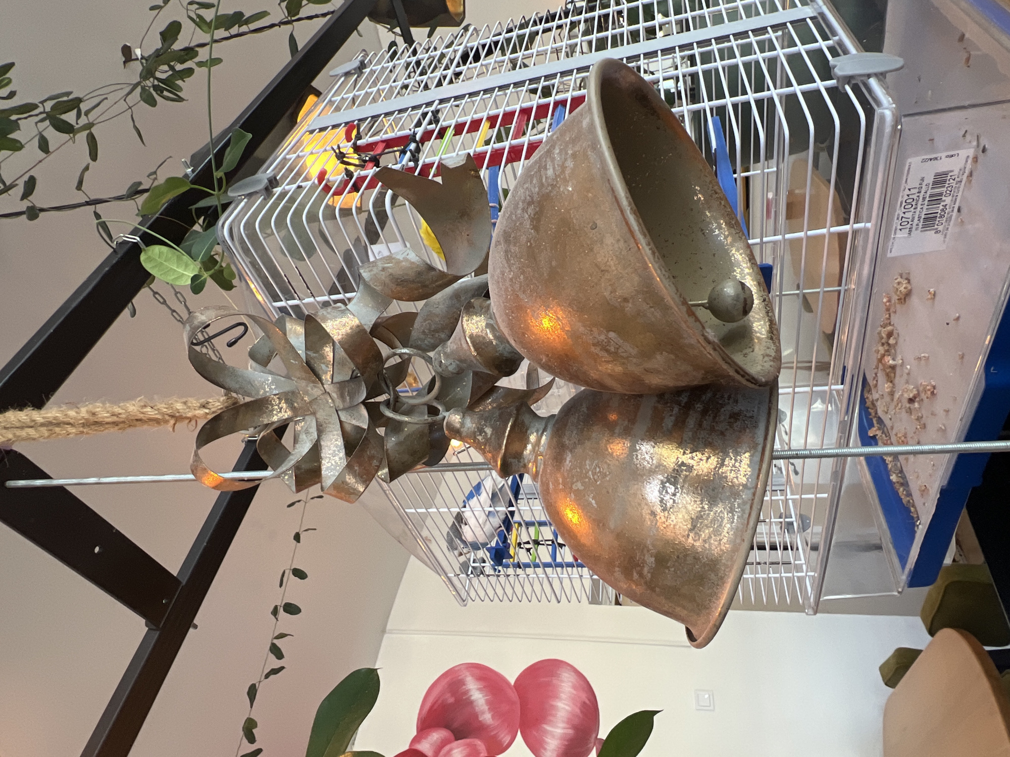 A close-up, low-angle shot shows a decorative metal bow with ribbon-like embellishments hanging from a black metal bar by a thick rope. Below the bow are two large, aged copper-colored bells, each with a small clapper visible inside. The bells hang from metal hooks attached to the bow's structure. In the background, a white metal birdcage is visible, containing at least two small birds. The cage has a clear plastic base with some scattered debris, likely food or bedding. To the left of the bells and cage, a portion of a wall mural featuring large, stylized pink flowers is visible, along with a trailing green plant with leaves. The environment appears to be indoors, possibly a cafe or shop, with a bright, diffused light source illuminating the scene. The image does not contain any identifiable elements that would suggest a specific location within the city of Odesa, Ukraine.