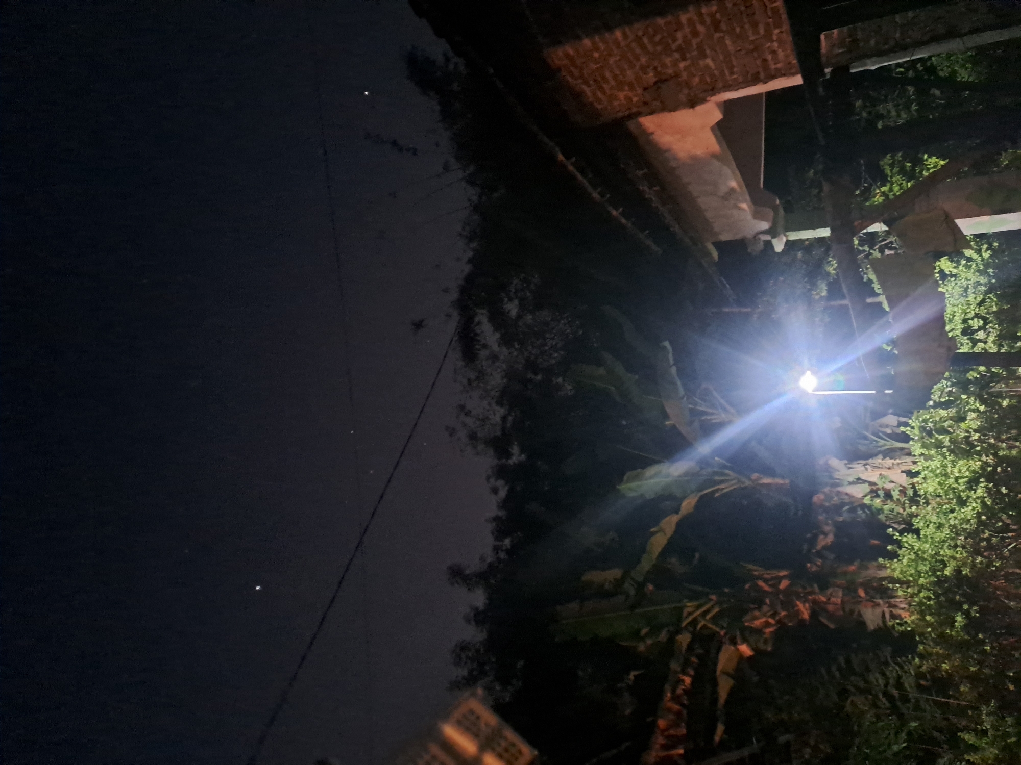 A night scene in Sumberejo, Indonesia, depicts an outdoor area with a bright street light illuminating lush green bushes and the textured trunk of a palm tree. To the right, a rustic brick building with a weathered roofline is visible. The dark sky above is dotted with a few faint stars and a single, bright celestial body. Overhead, power lines crisscross the frame, casting subtle shadows. The overall atmosphere is one of quiet, rural nocturnal ambiance.