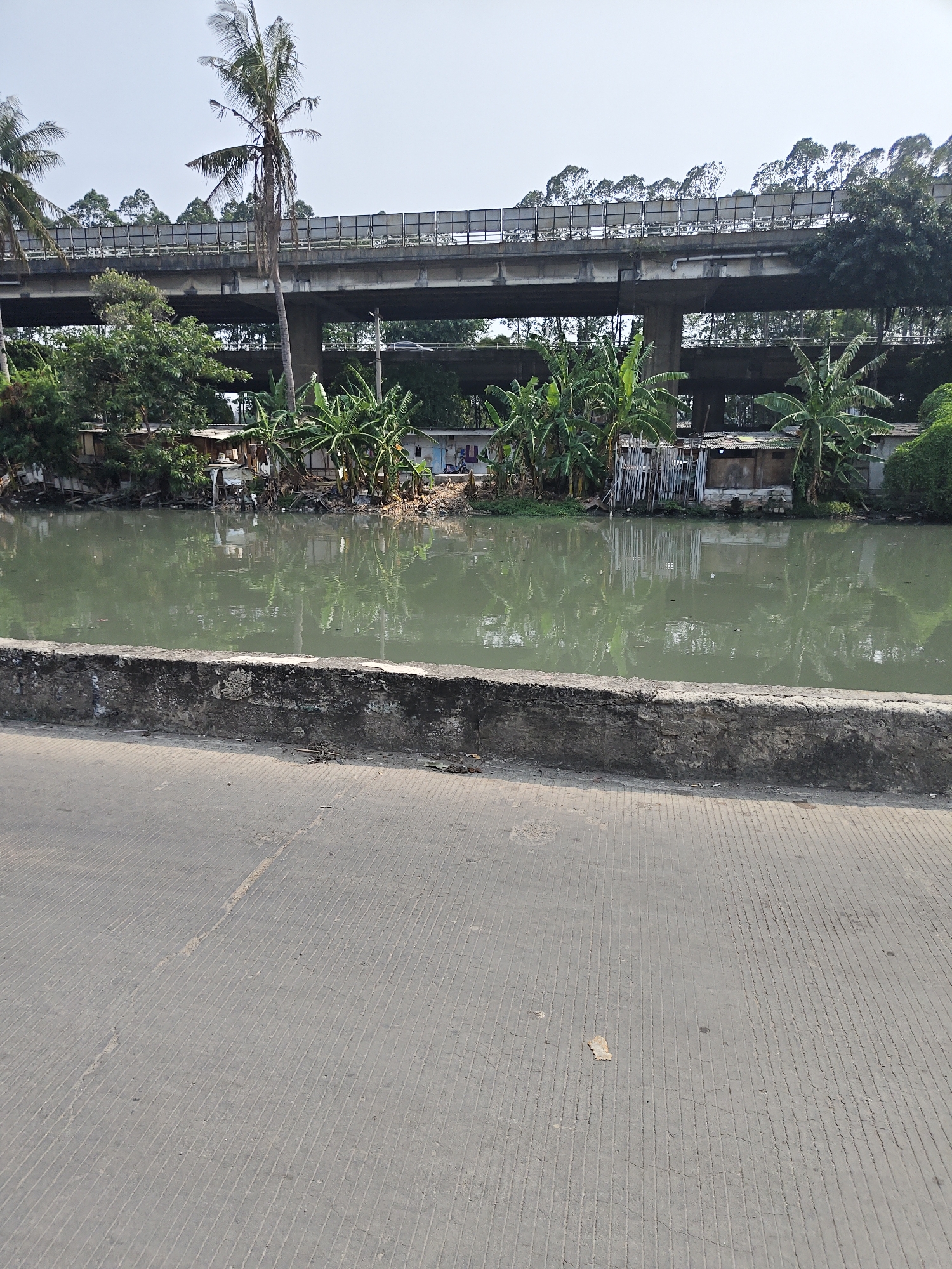 The image depicts a waterfront scene with a highway overpass in the background. The water body appears to be a canal or river, with its surface reflecting the sky and surrounding vegetation. Along the bank of the water, there are some makeshift structures and piles of debris, suggesting a somewhat informal or underdeveloped settlement. Banana trees and other foliage are abundant, creating a tropical atmosphere. A concrete wall borders the foreground, separating it from the water. The ground in the foreground is paved with concrete and shows visible lines, possibly indicating a road or walkway. The overall impression is of an urban environment in proximity to nature, with signs of both infrastructure and informal housing. The specific location in North Jakarta, Indonesia is characterized by this combination of dense urban development, infrastructure projects like the highway, and the presence of natural water bodies integrated into the cityscape, often alongside residential areas with varying levels of development.