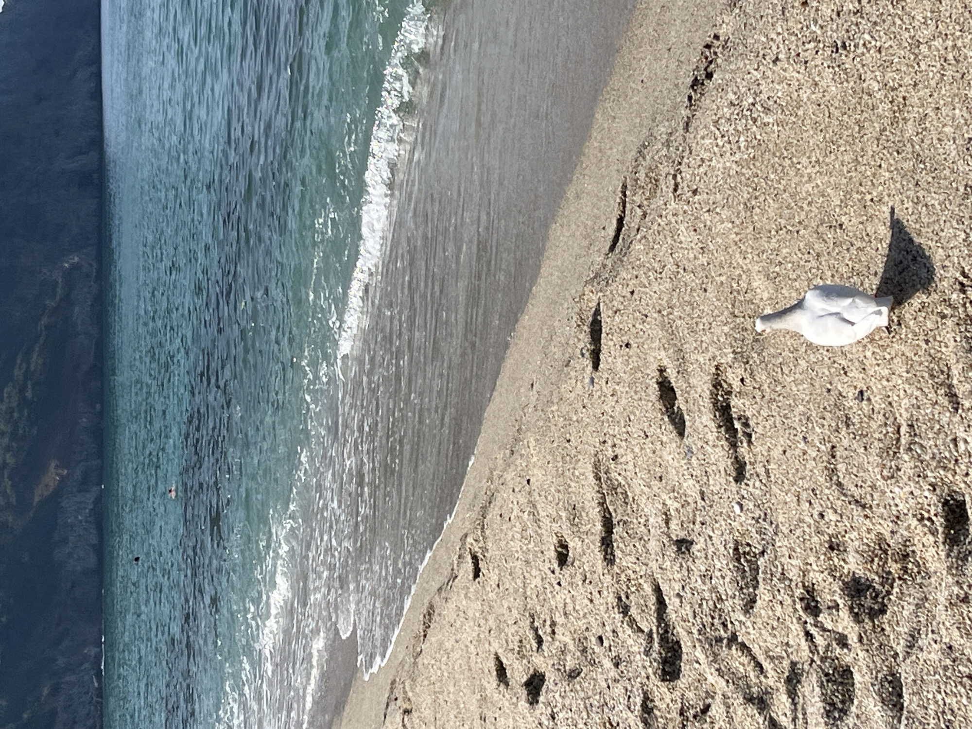 The image shows a beach in Alanya, Turkey, with an ocean view and a dark, elevated landmass on the left. Waves are visible along the shoreline. On the sandy beach, there are footprints and a single white object, possibly trash. A person is visible in the water.
